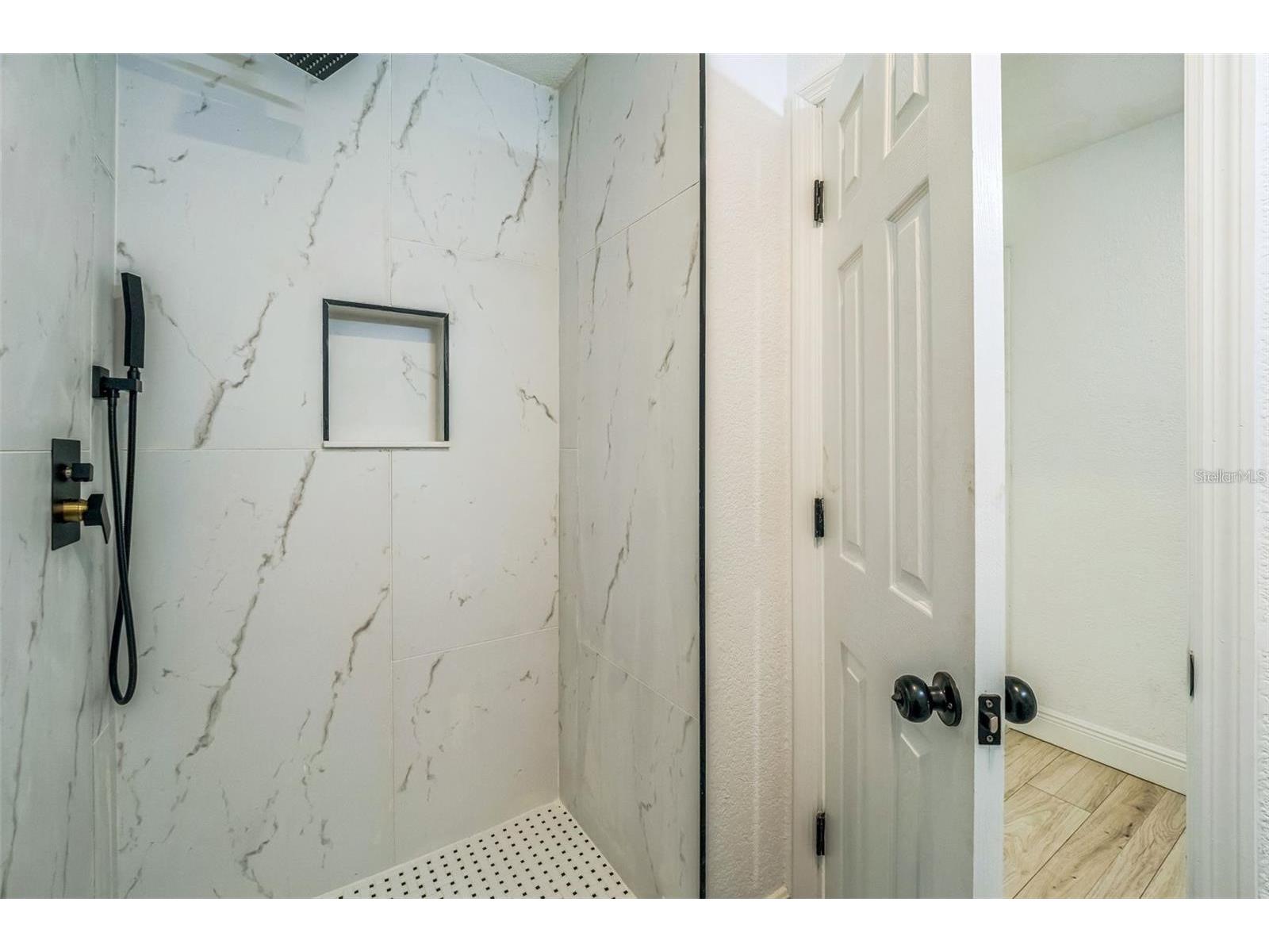 4212 Harry Drive Fruitland Park FL 34731 S5145577 image20