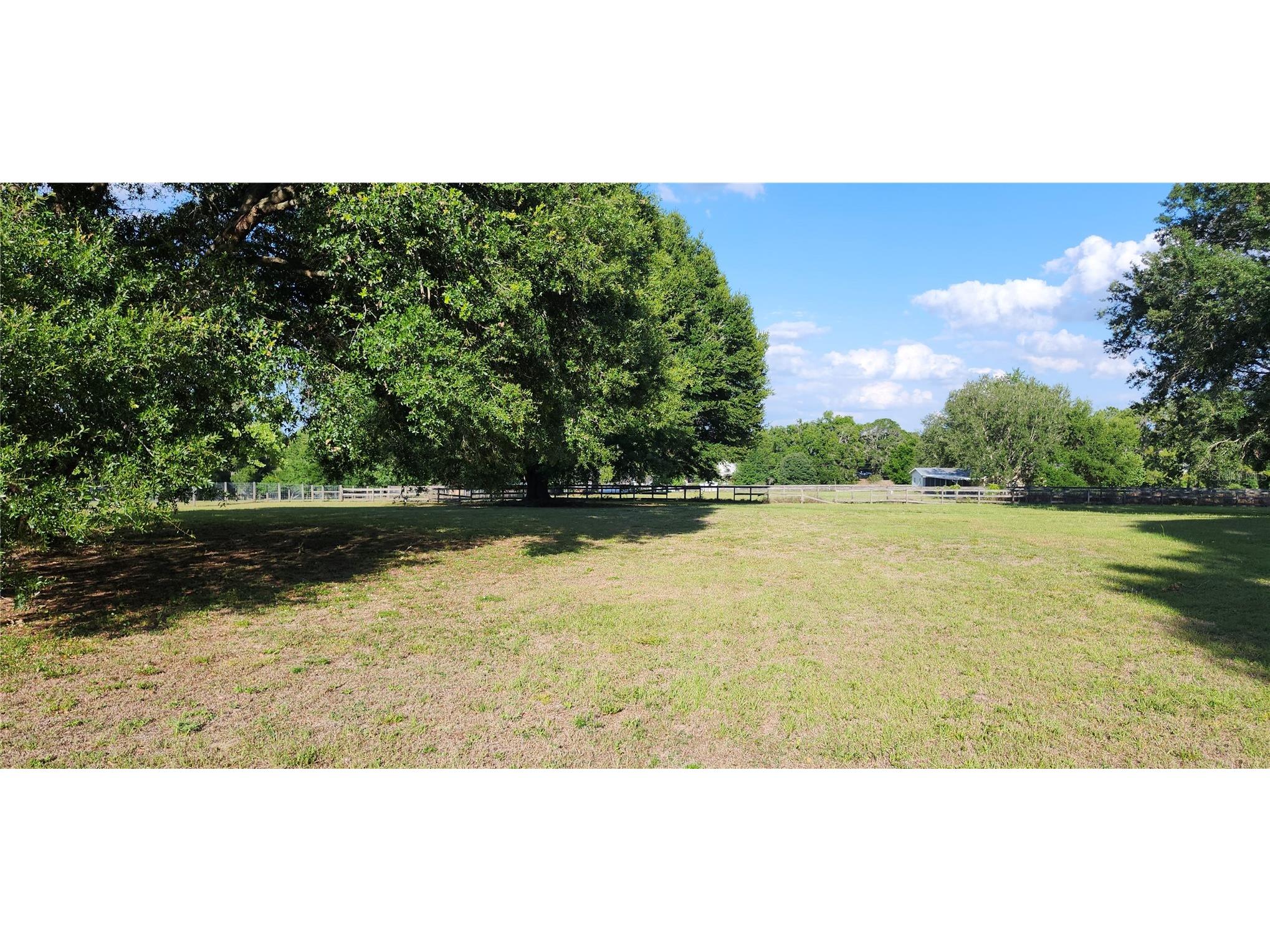 4212 Neff Lake Road Brooksville FL 34601 TB8515506 image5