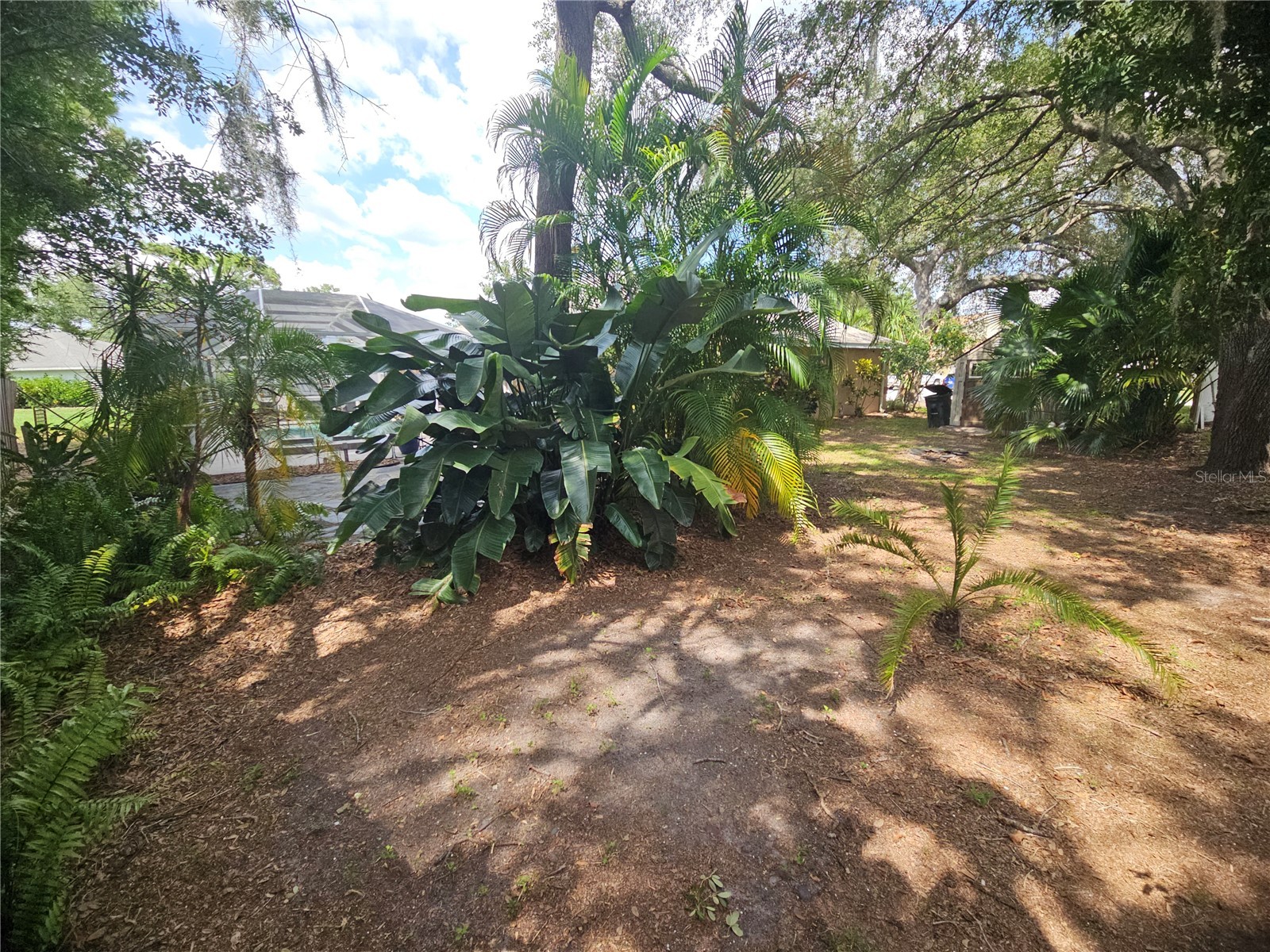 4212 Parry Drive Sarasota FL 34241 TB8524226 image27
