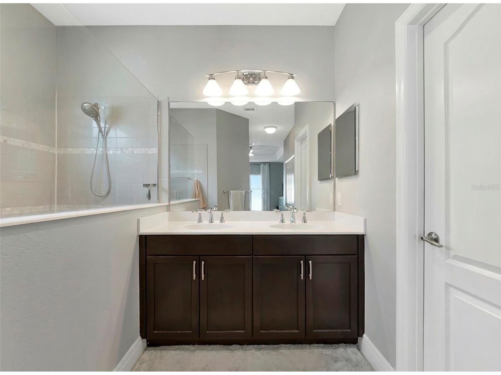 4213 Pine Meadow Drive Parrish FL 34219 A4688075 image24