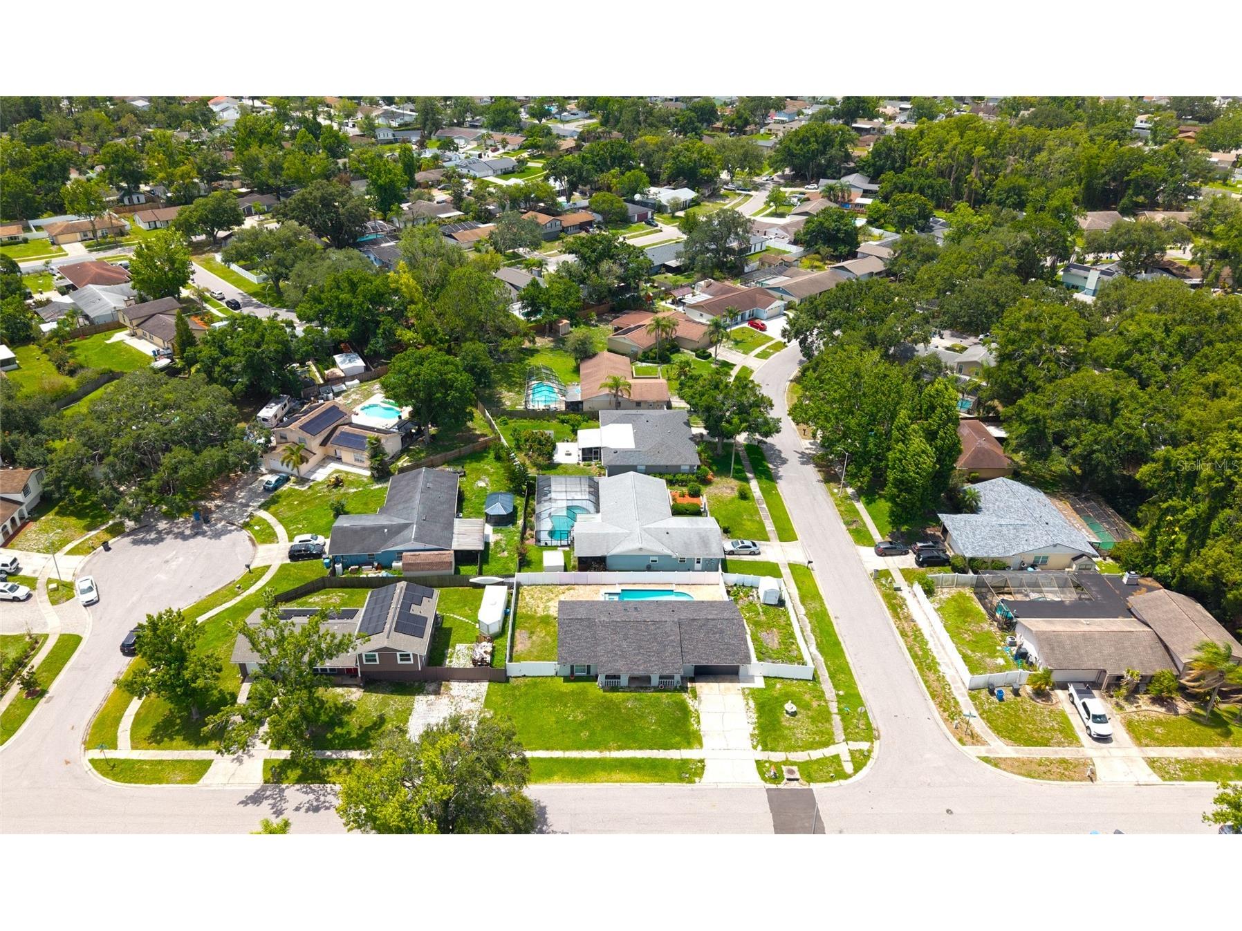4214 Hollow Hill Drive Tampa FL 33624 TB8503124 image32