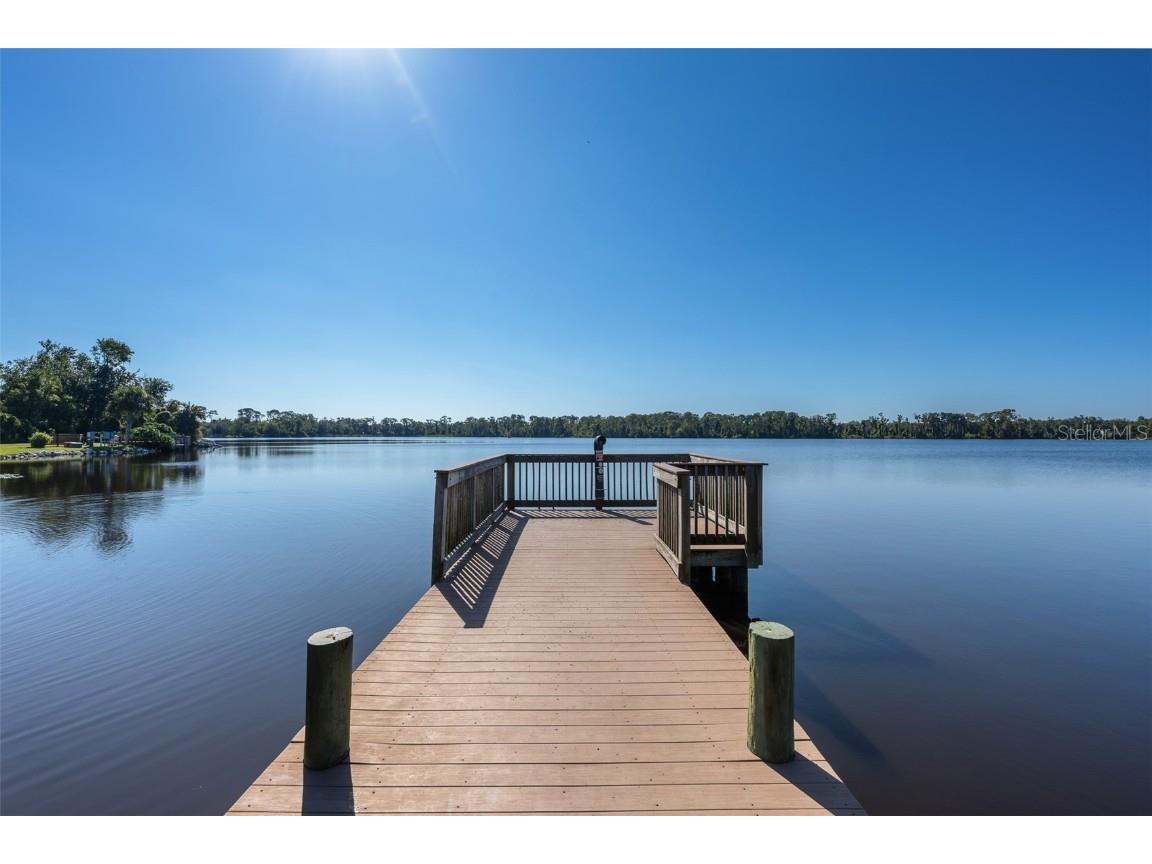 4214 Kipling Avenue Plant City FL 33566 - WALDEN LAKE TB8443197 image39