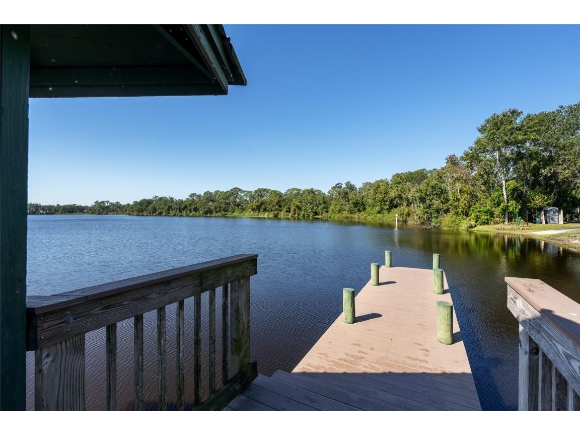 4214 Kipling Avenue Plant City FL 33566 - WALDEN LAKE TB8443197 image40