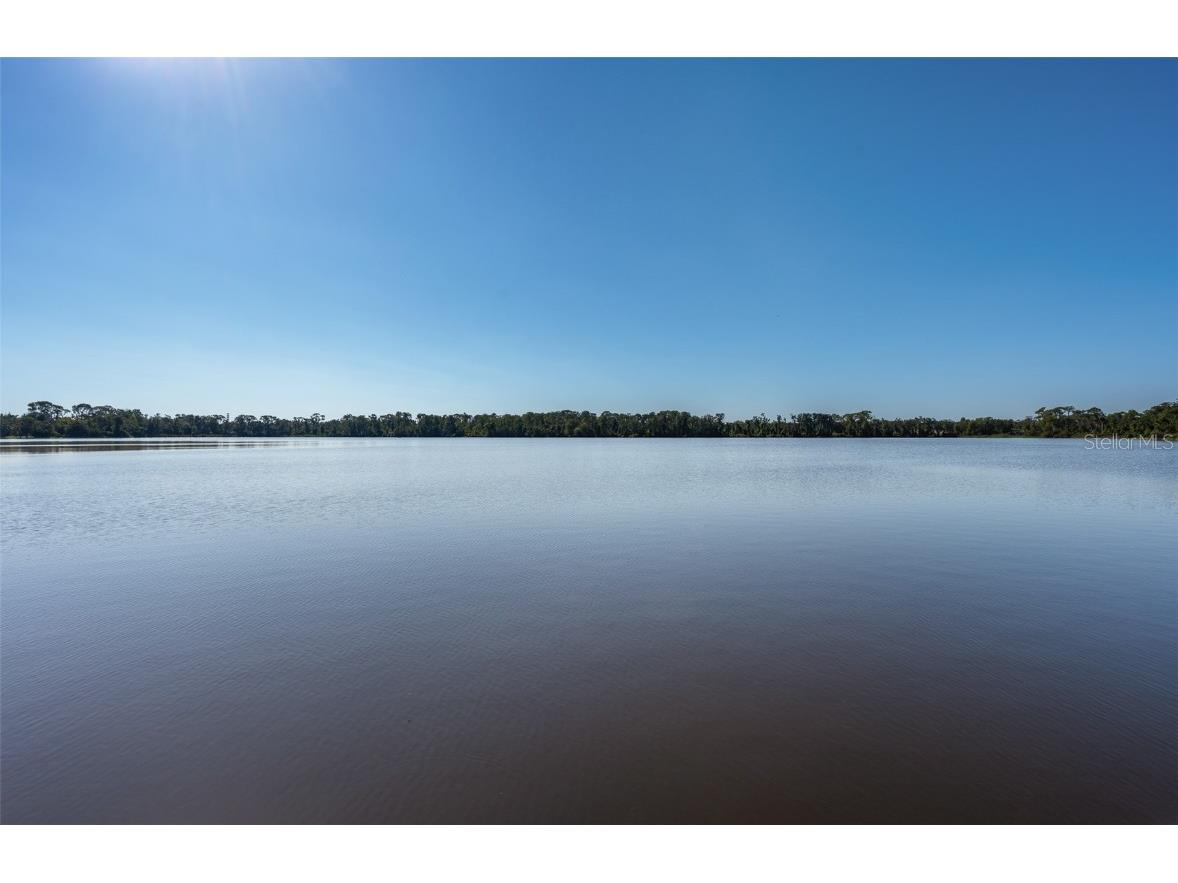 4214 Kipling Avenue Plant City FL 33566 - WALDEN LAKE TB8443197 image49