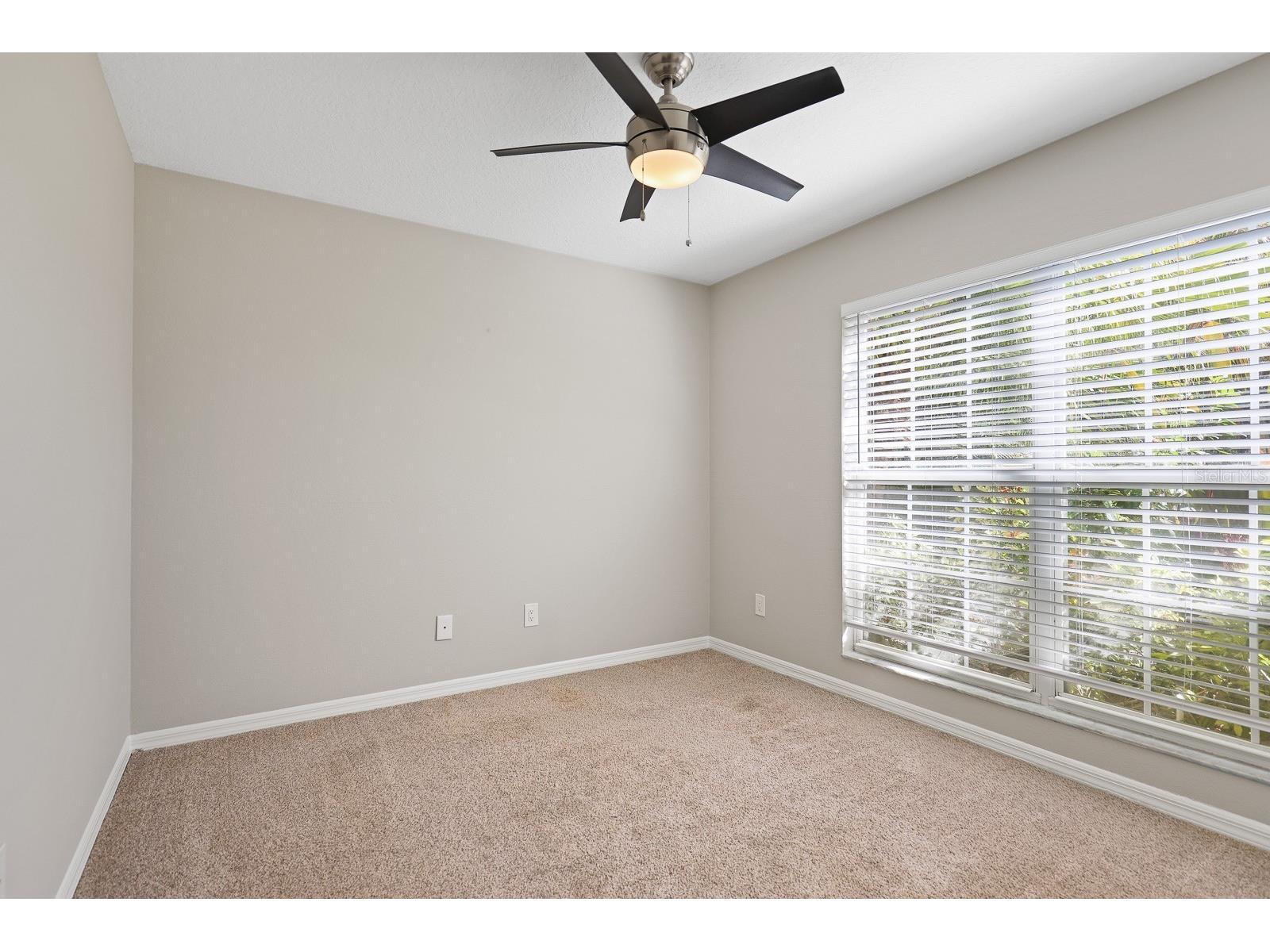 4214 Pine Isle Drive Lutz FL 33558 TB8431718 image22