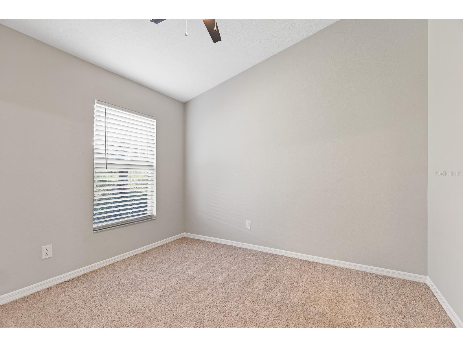 4214 Pine Isle Drive Lutz FL 33558 TB8431718 image24