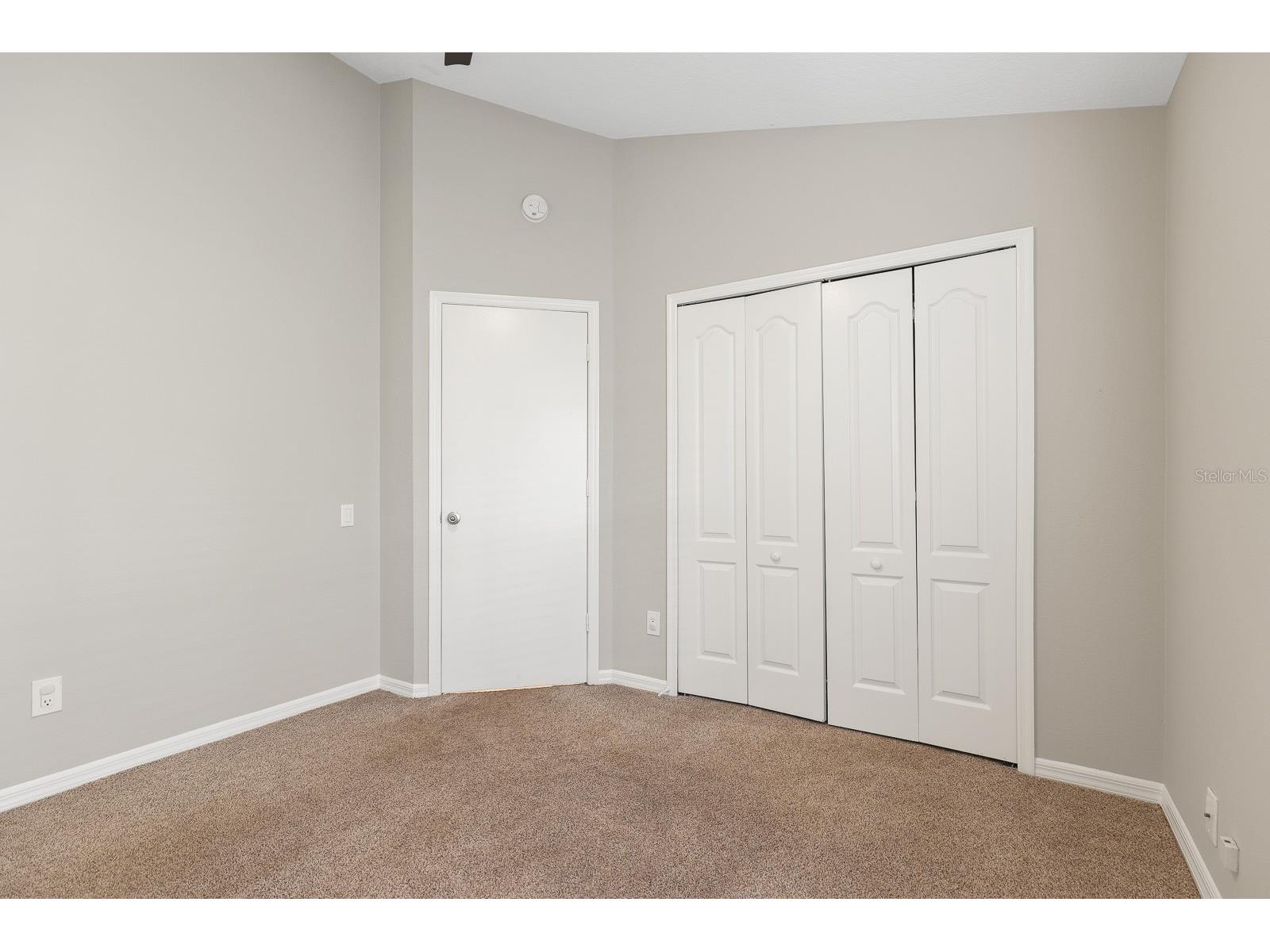 4214 Pine Isle Drive Lutz FL 33558 TB8431718 image25