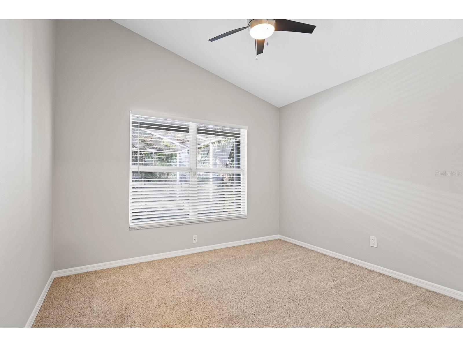 4214 Pine Isle Drive Lutz FL 33558 TB8431718 image28