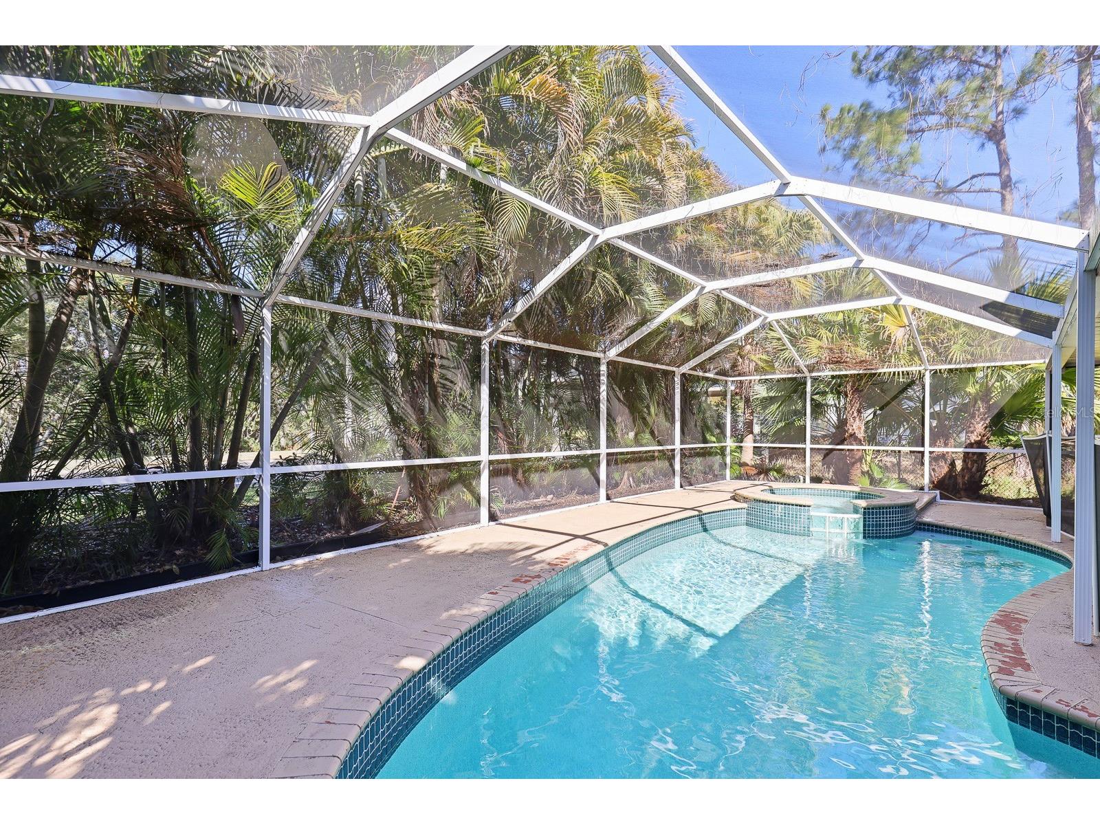 4214 Pine Isle Drive Lutz FL 33558 TB8431718 image30