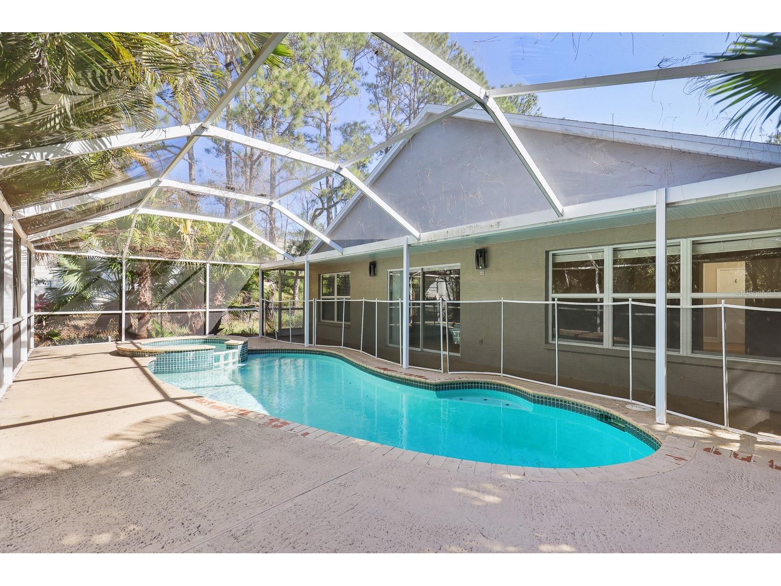 4214 Pine Isle Drive Lutz FL 33558 TB8431718 image31