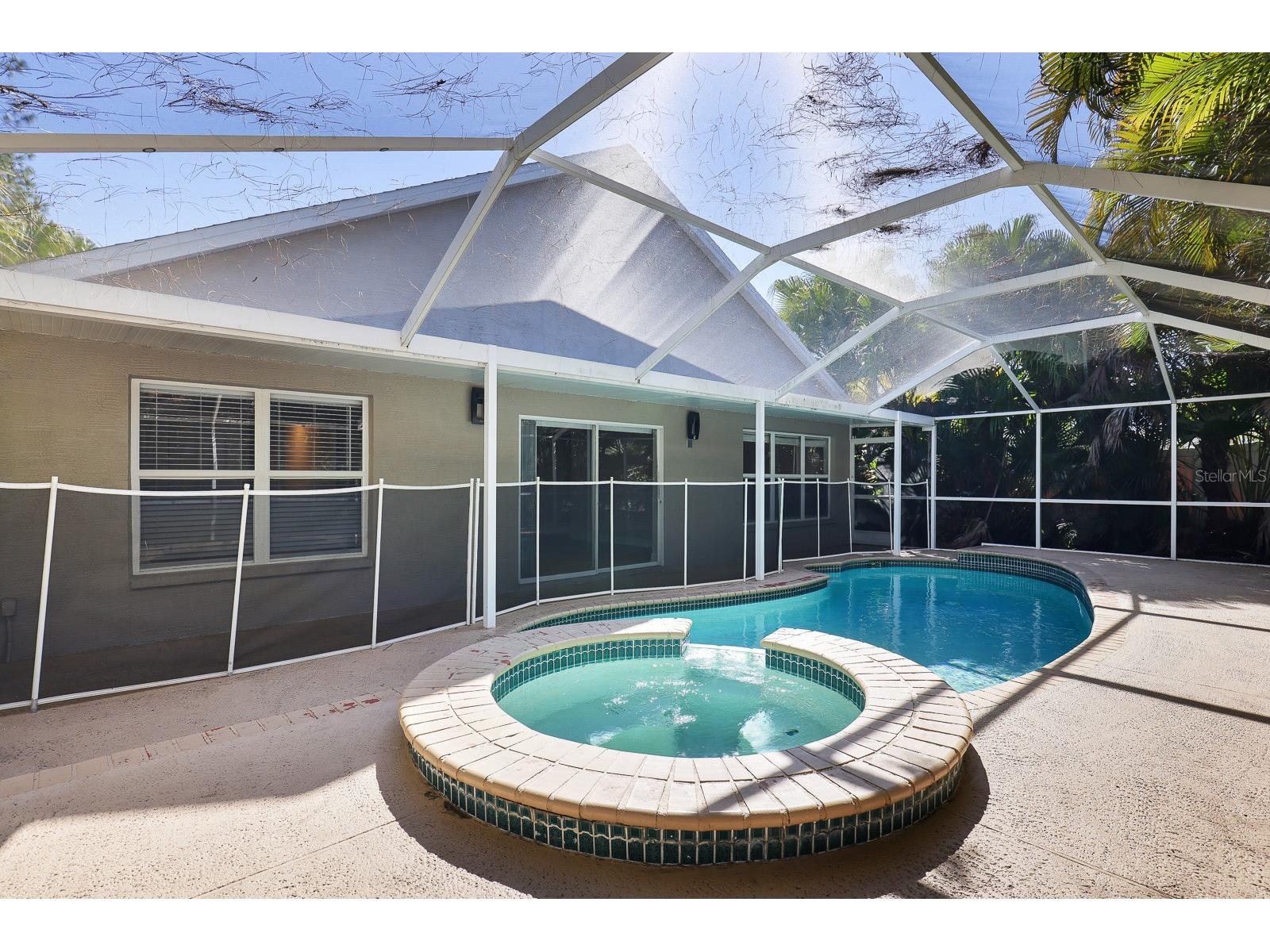 4214 Pine Isle Drive Lutz FL 33558 TB8431718 image32