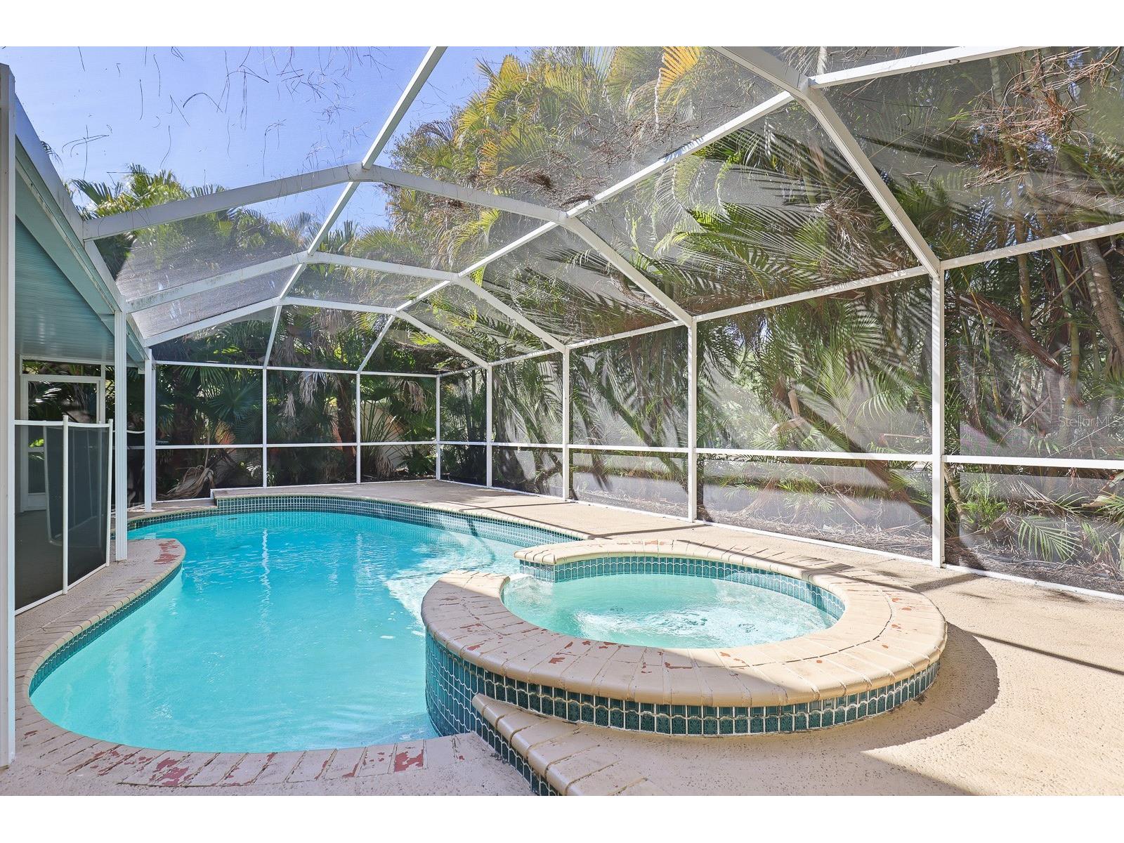 4214 Pine Isle Drive Lutz FL 33558 TB8431718 image33