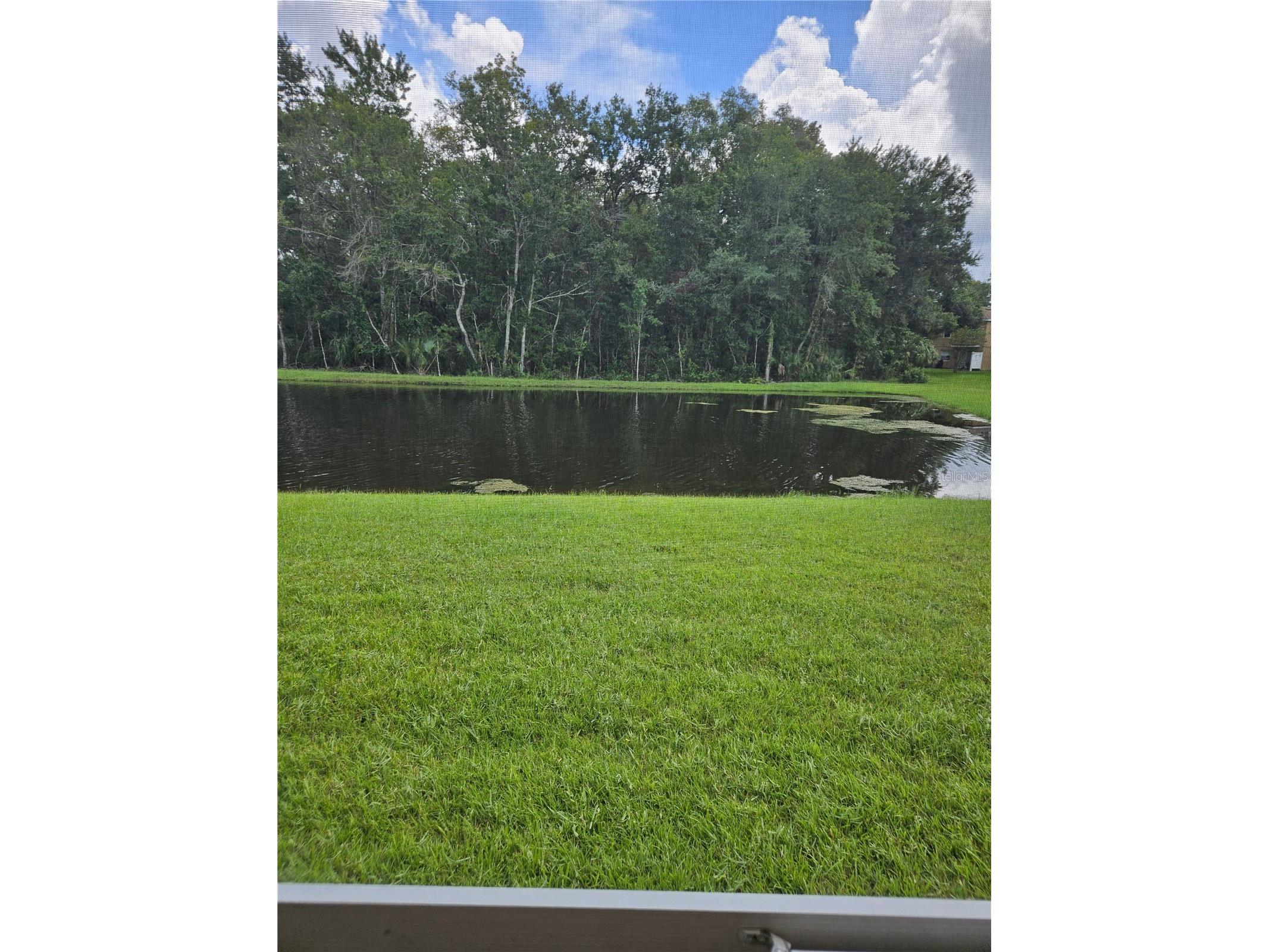 4214 Winding River Way Land O Lakes FL 34639 TB8477047 image41