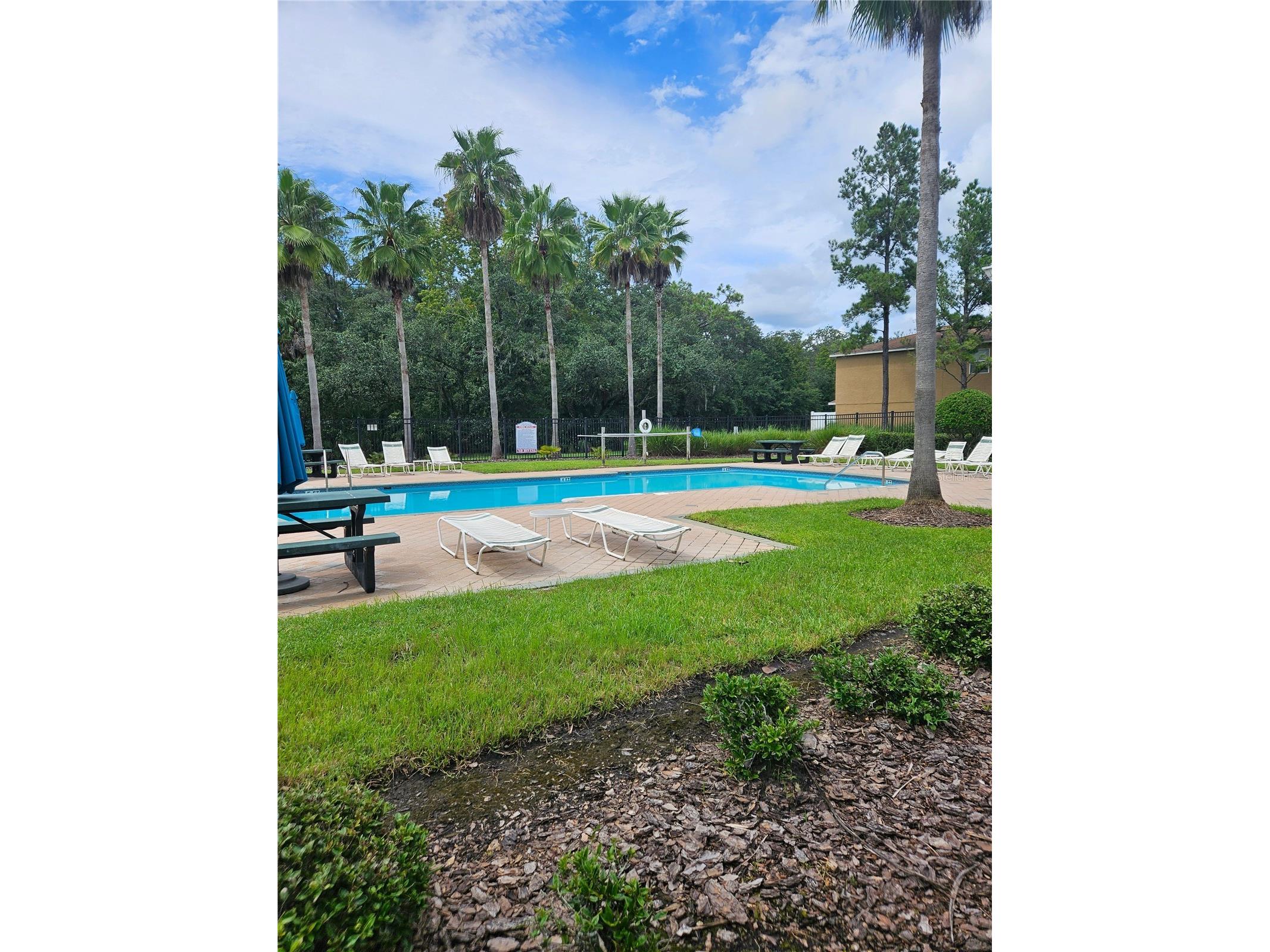 4214 Winding River Way Land O Lakes FL 34639 TB8477047 image42