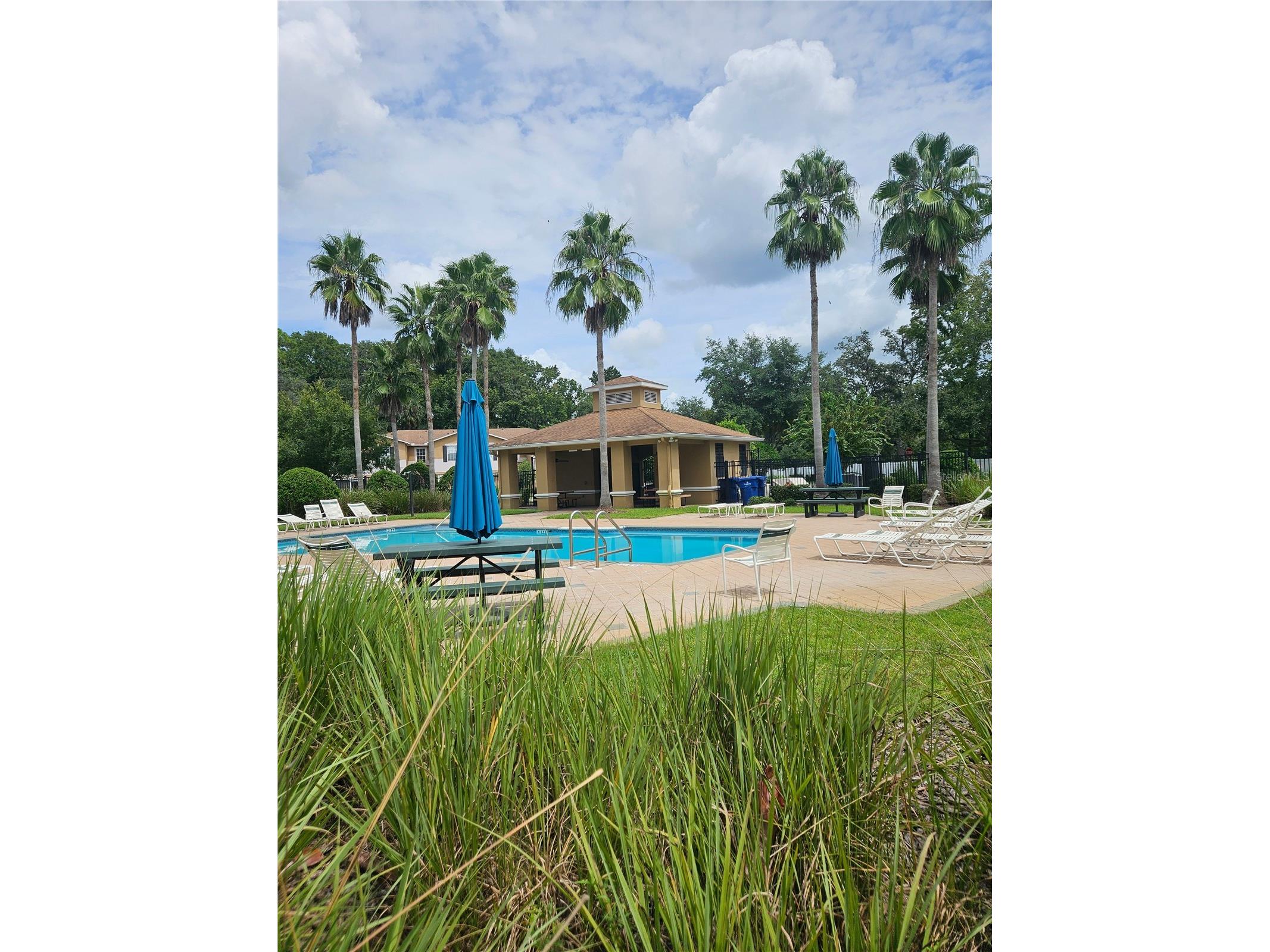 4214 Winding River Way Land O Lakes FL 34639 TB8477047 image43
