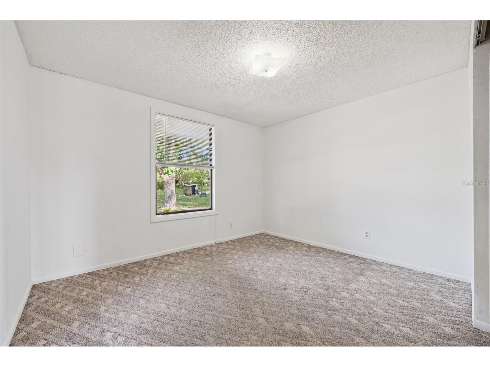 42146 Pine Valley Drive Paisley FL 32767 O6411210 image25