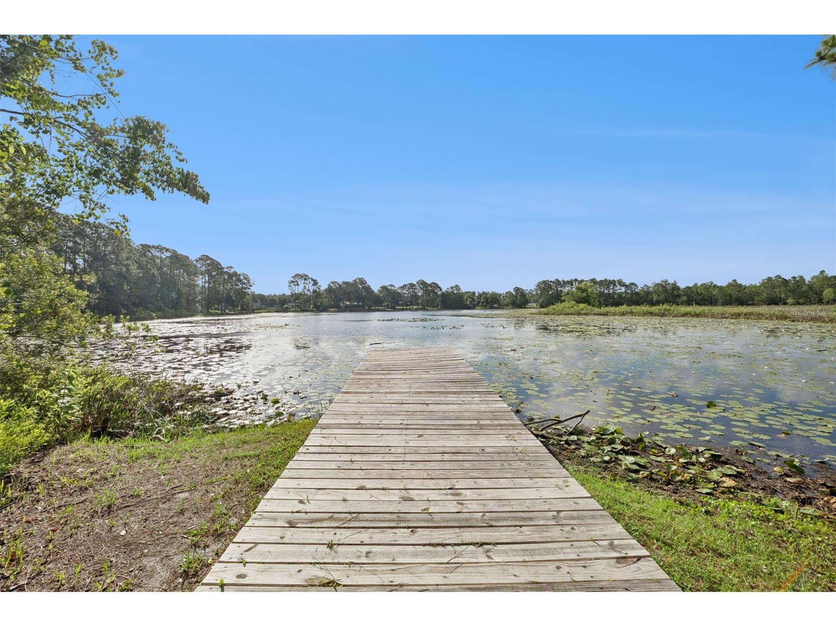 42146 Pine Valley Drive Paisley FL 32767 O6411210 image43