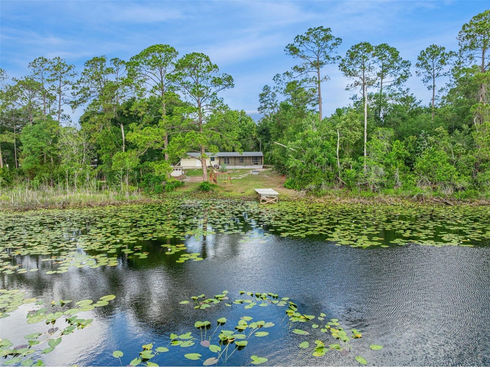 42146 Pine Valley Drive Paisley FL 32767 O6411210 image44