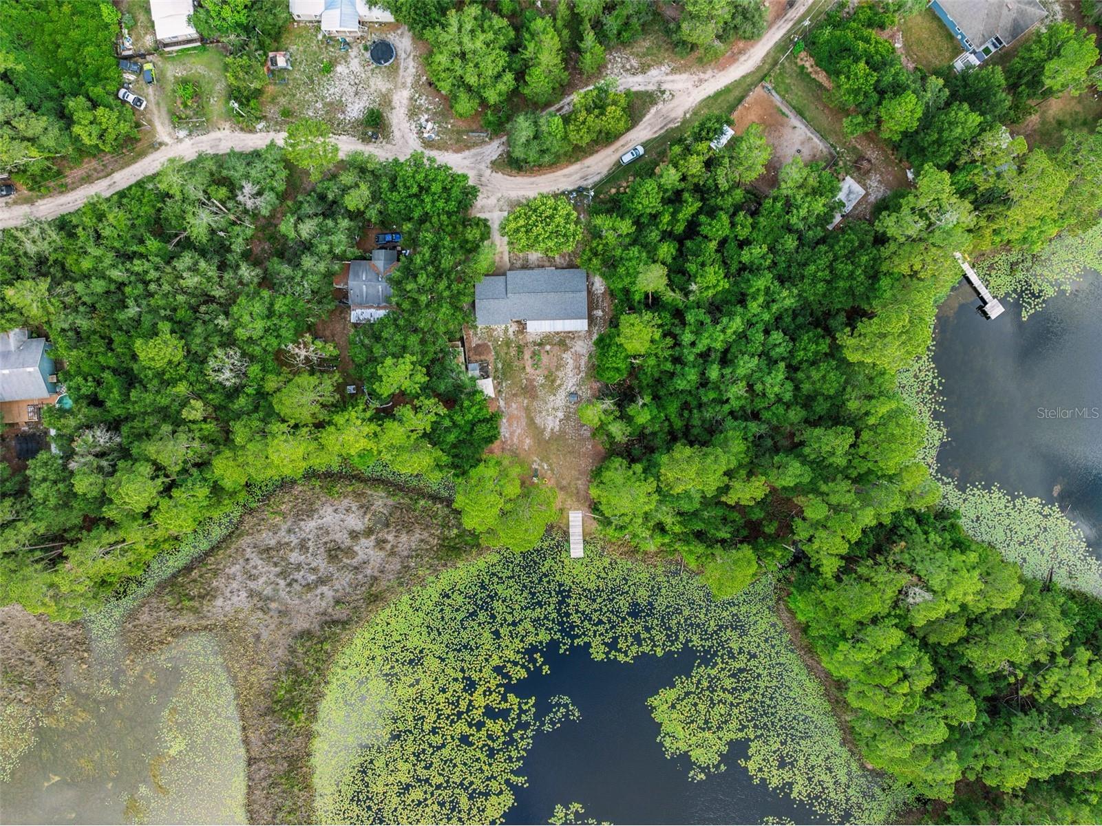 42146 Pine Valley Drive Paisley FL 32767 O6411210 image45