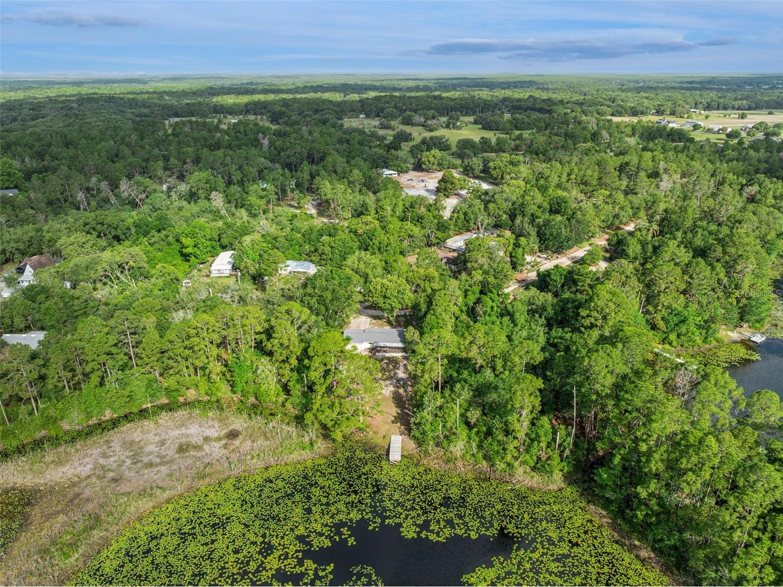 42146 Pine Valley Drive Paisley FL 32767 O6411210 image47