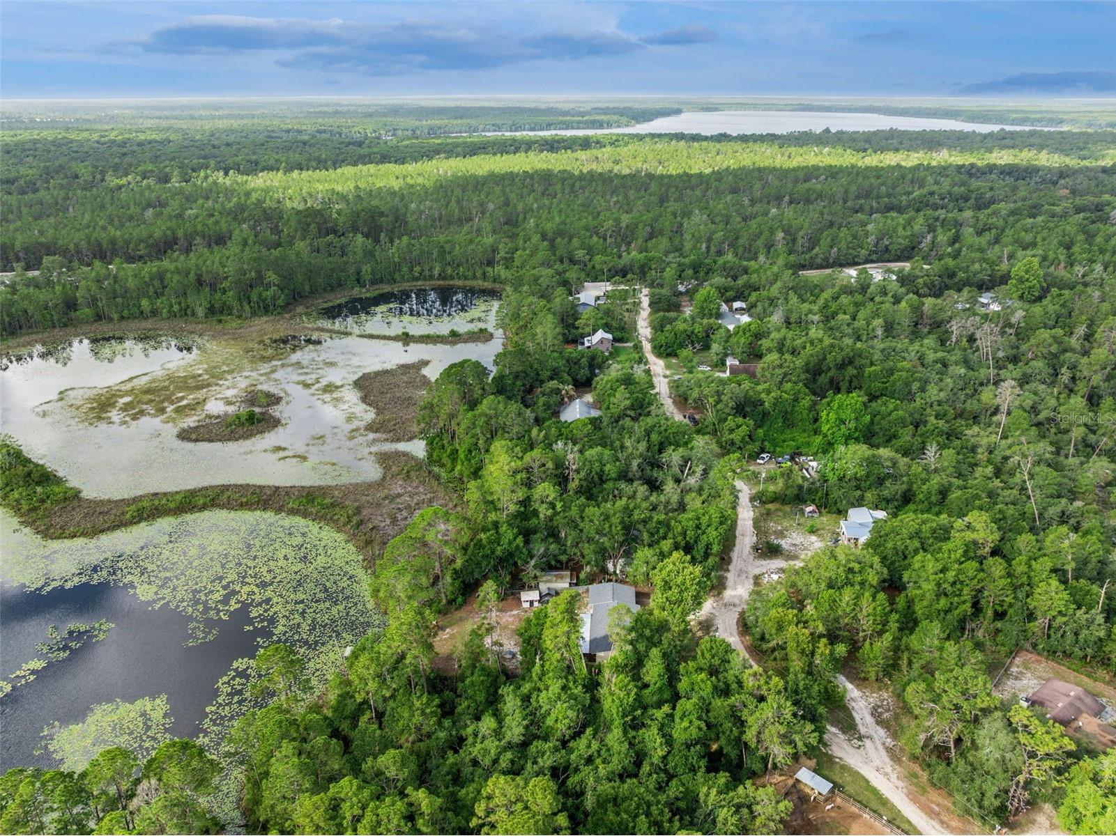 42146 Pine Valley Drive Paisley FL 32767 O6411210 image51