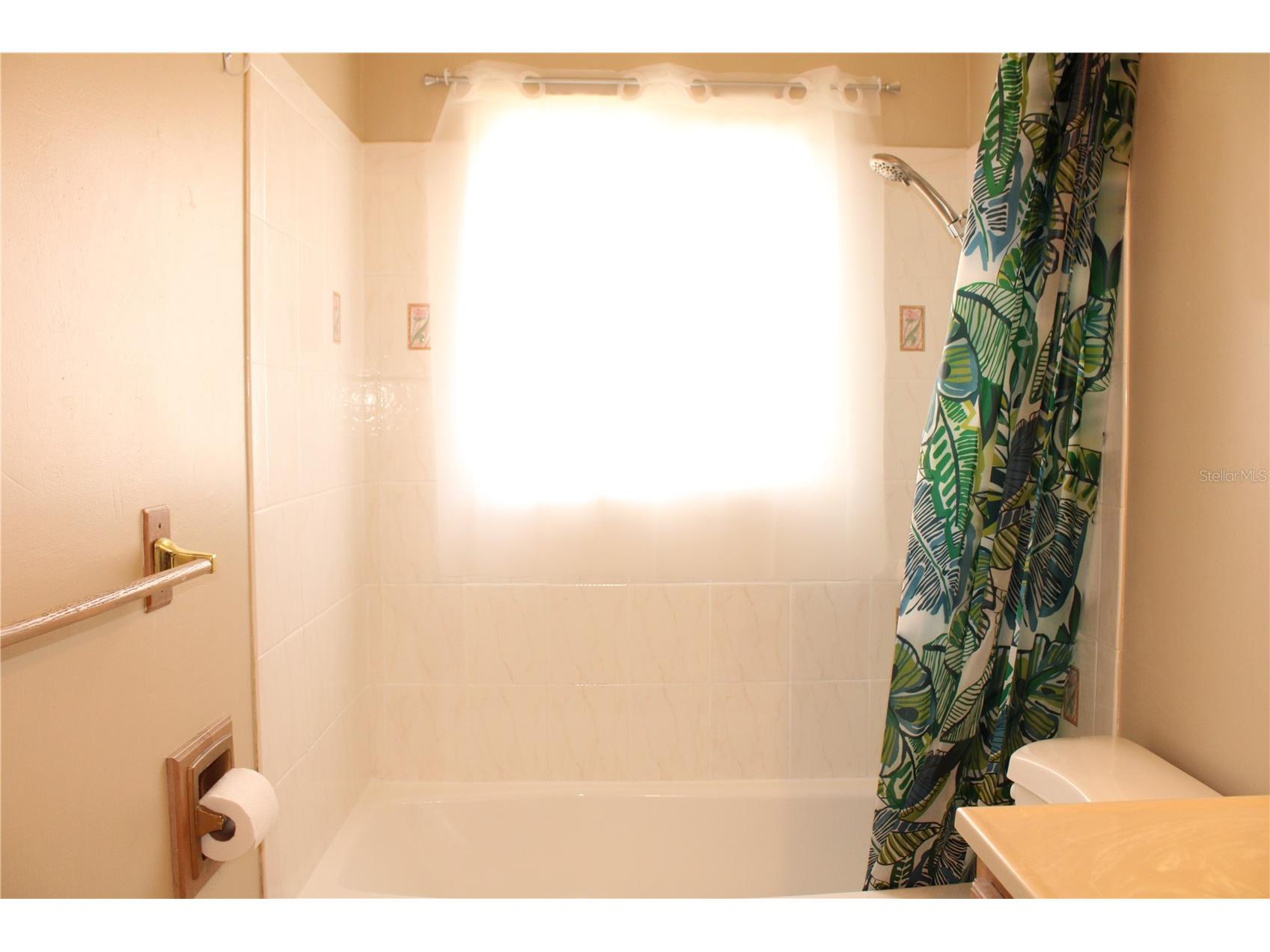 4215 18th Avenue Drive W Bradenton FL 34205 A4694982 image38