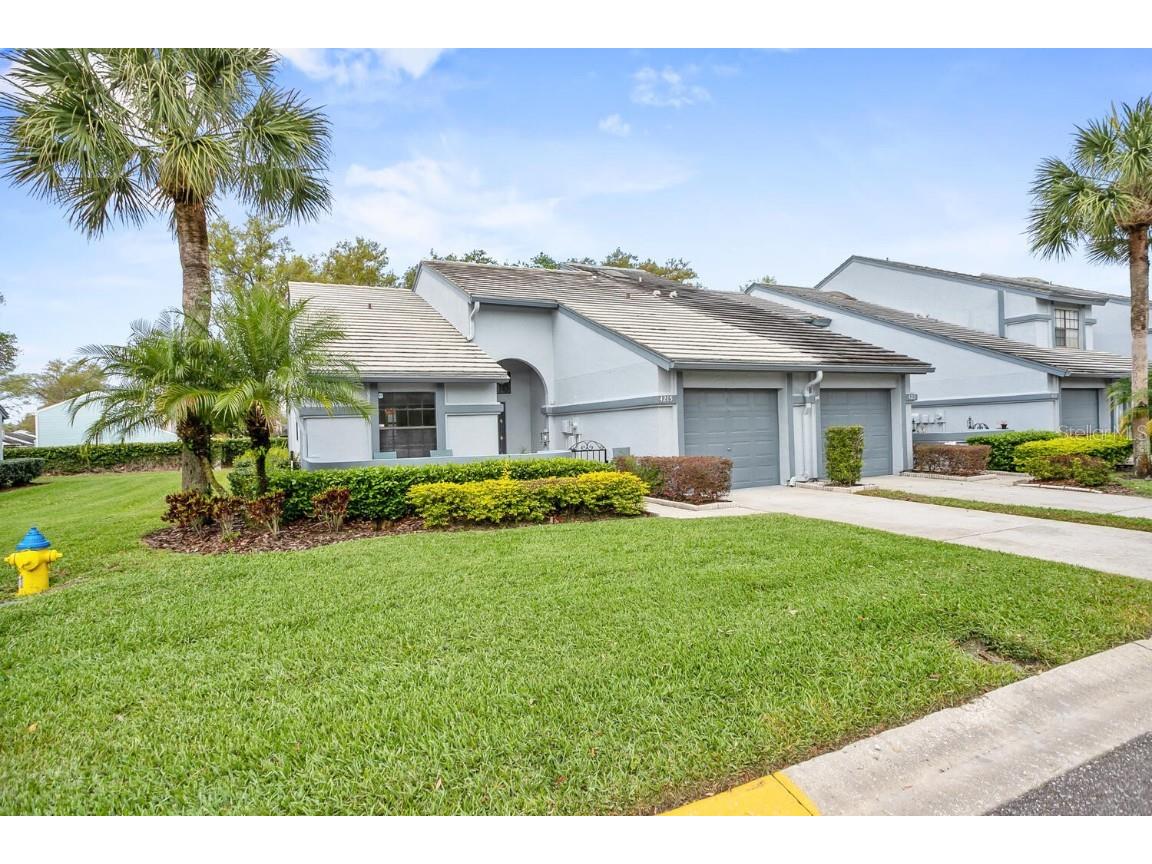 4215 Brentwood Park Circle Tampa FL 33624 T3361333 image1
