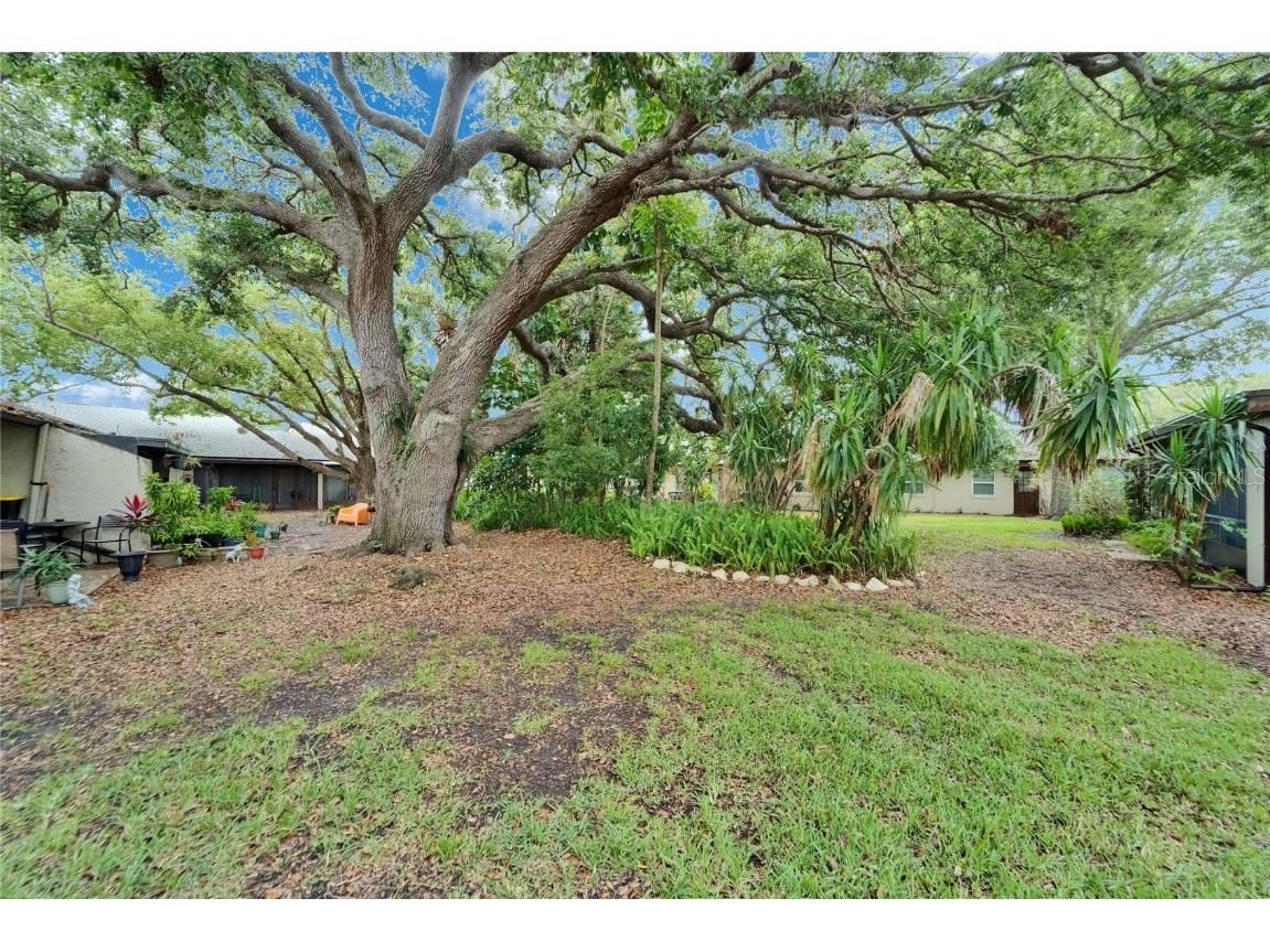 4215 E Bay Drive #1005D Clearwater FL 33764 TB8386371 image52