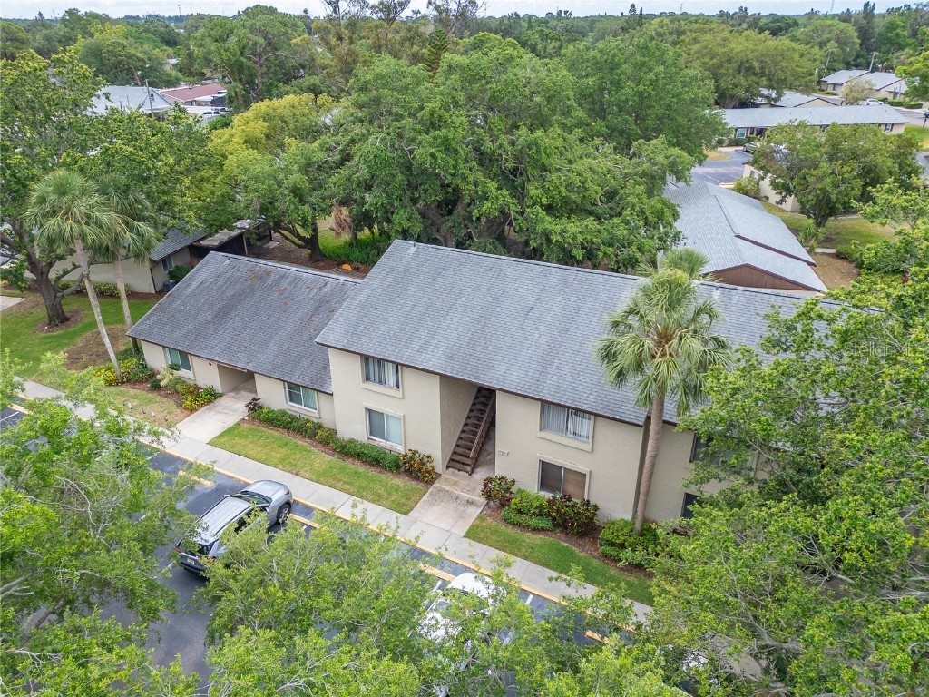 4215 E Bay Drive #1005D Clearwater FL 33764 TB8386371 image57