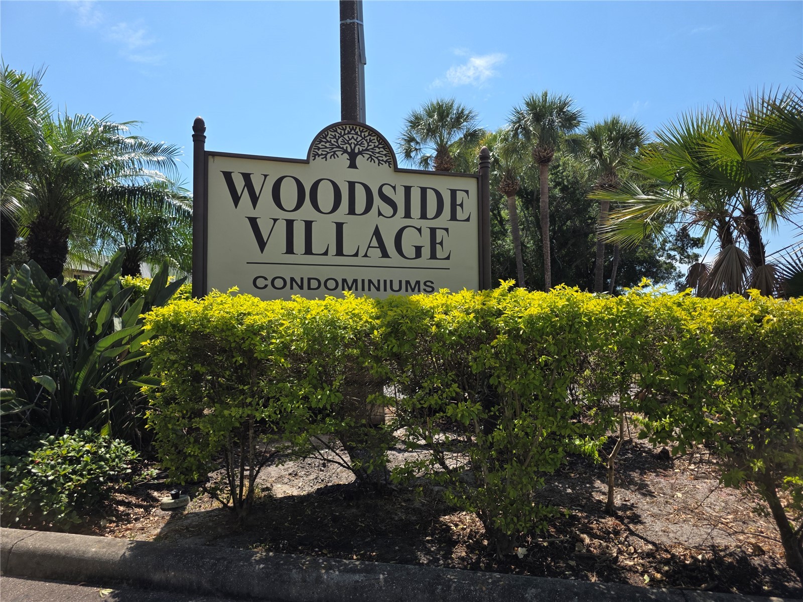 4215 E Bay Drive #1403 Clearwater FL 33764 TB8503360 image22