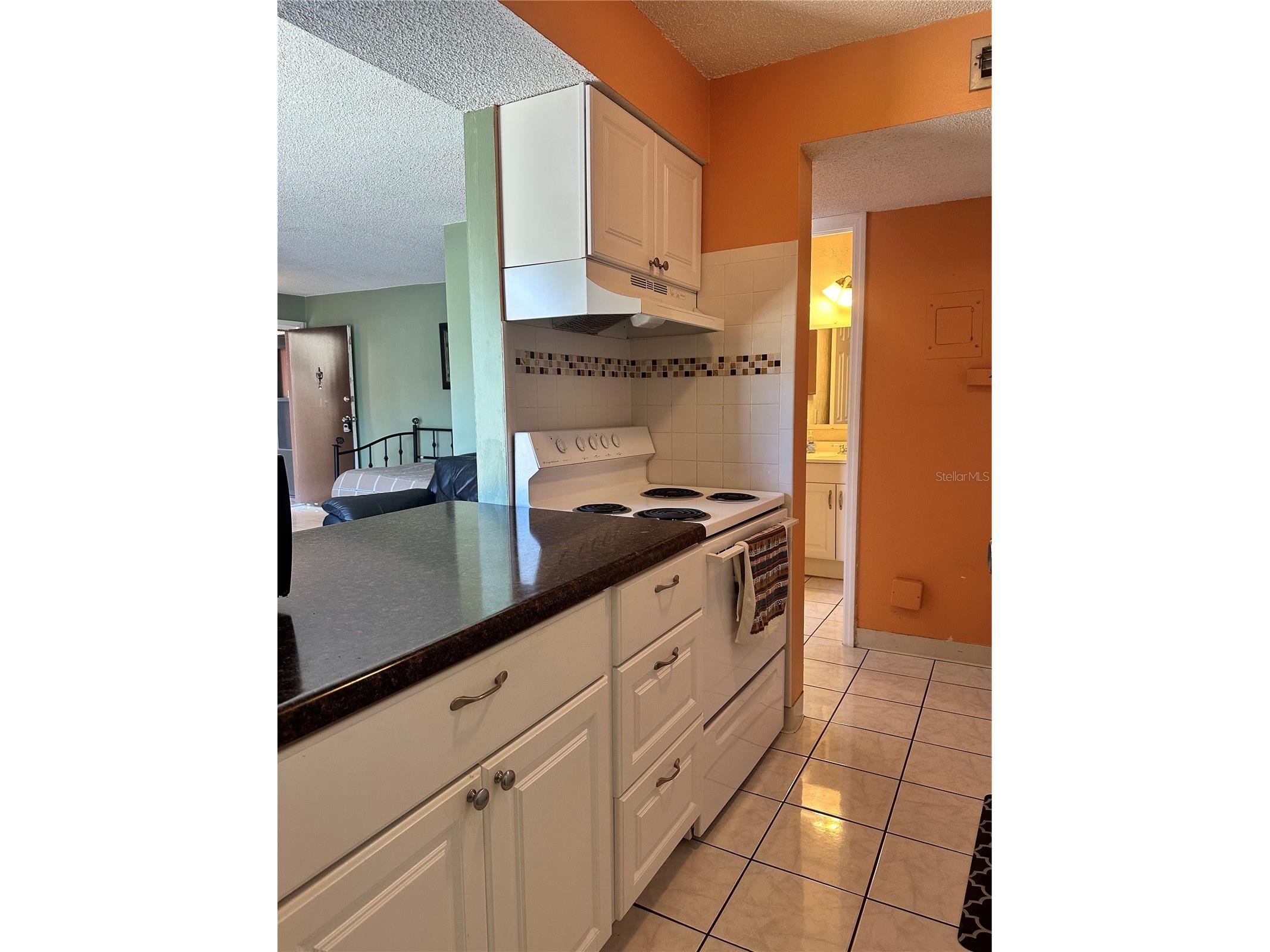 4215 E Bay Drive #1702A Clearwater FL 33764 TB8500828 image29