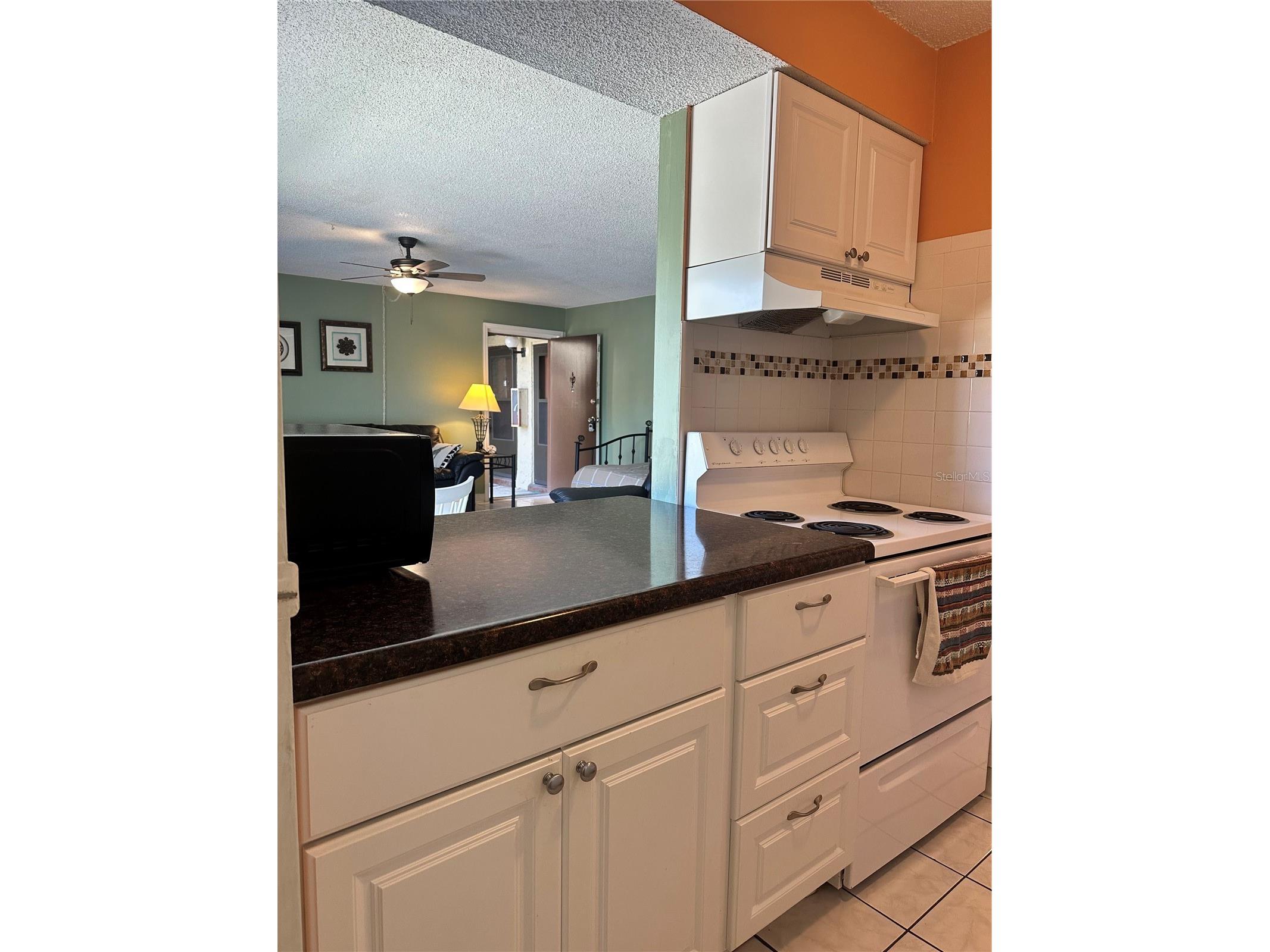 4215 E Bay Drive #1702A Clearwater FL 33764 TB8500828 image30