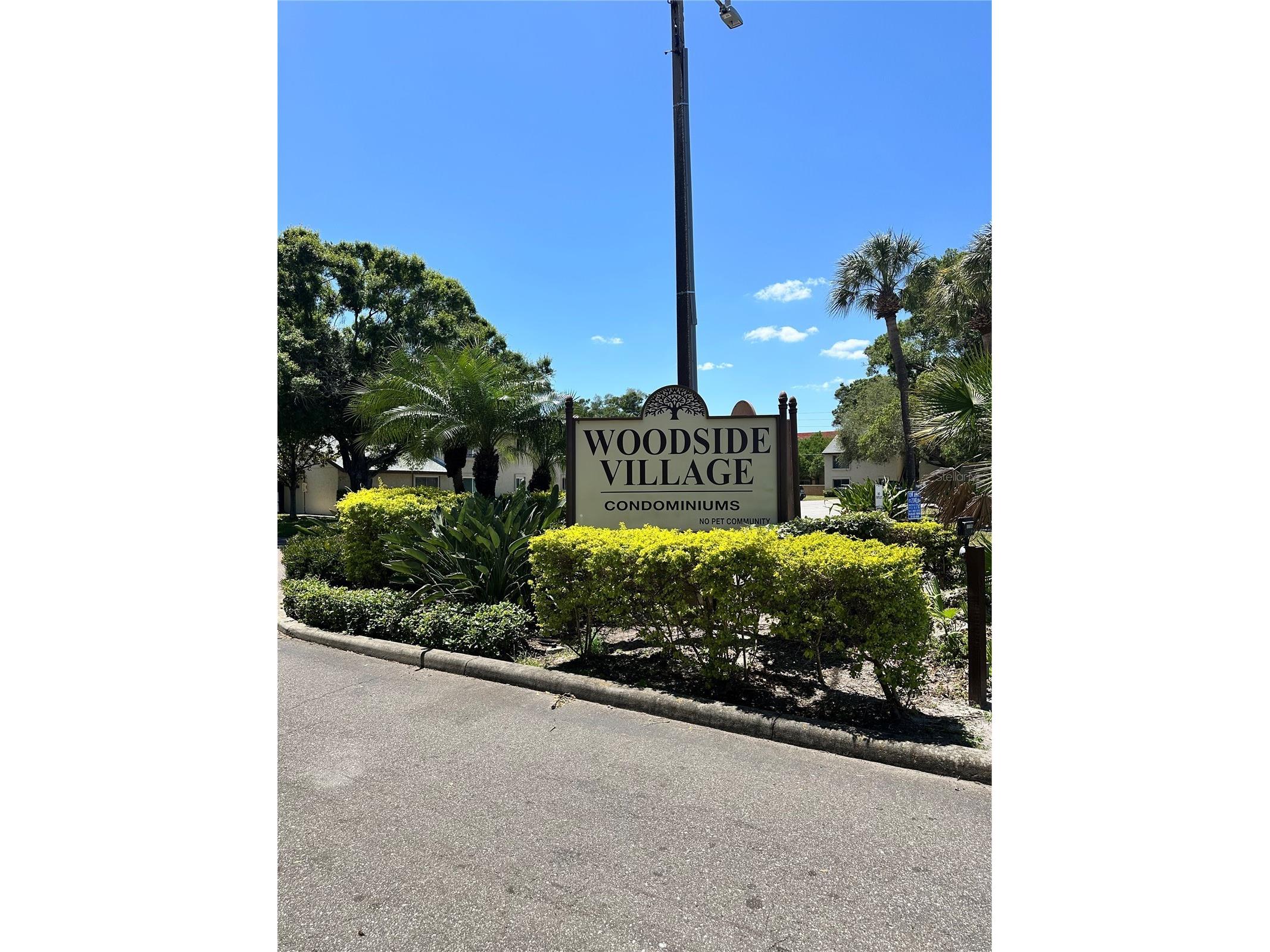 4215 E Bay Drive #1702A Clearwater FL 33764 TB8500828 image53