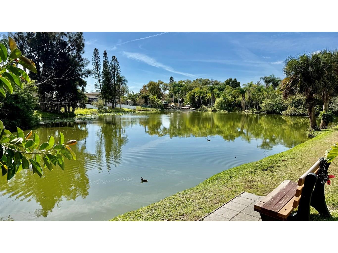 4215 E Bay Drive #1702B Clearwater FL 33764 TB8457610 image21