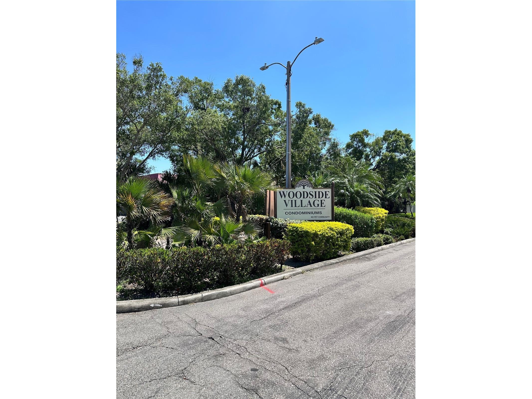 4215 E Bay Drive #1707A Clearwater FL 33764 TB8500867 image57