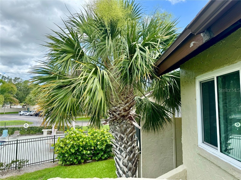 4215 E Bay Drive #1707C Clearwater FL 33764 TB8392712 image29