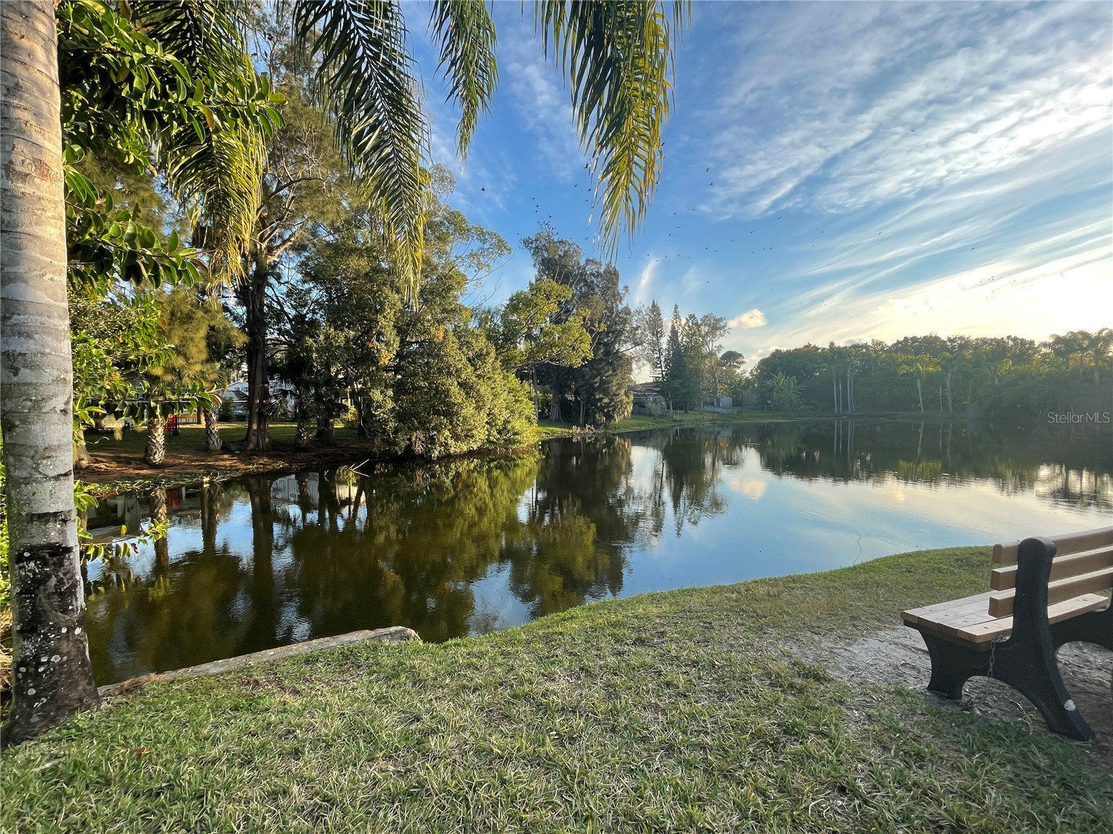 4215 E Bay Drive #1806D Clearwater FL 33764 TB8493082 image21