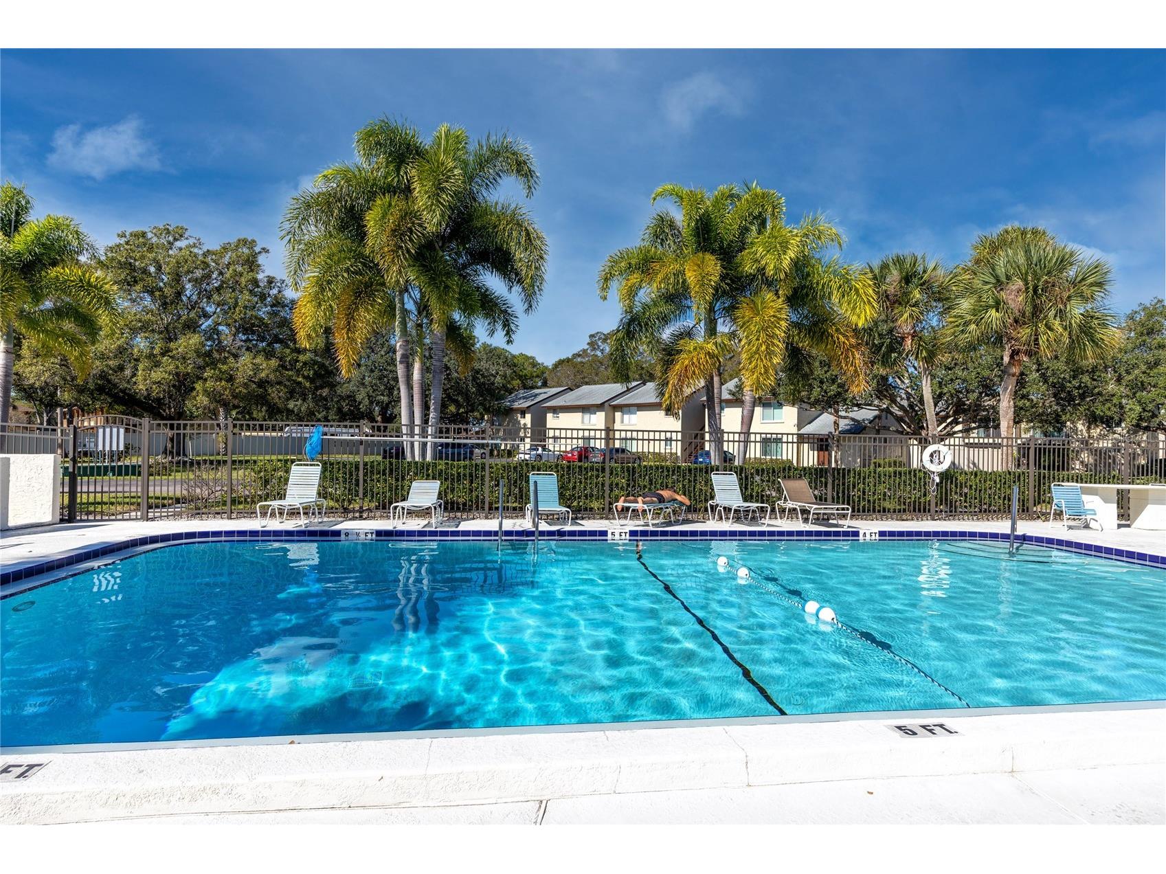 4215 E Bay Drive #1806D Clearwater FL 33764 TB8493082 image24