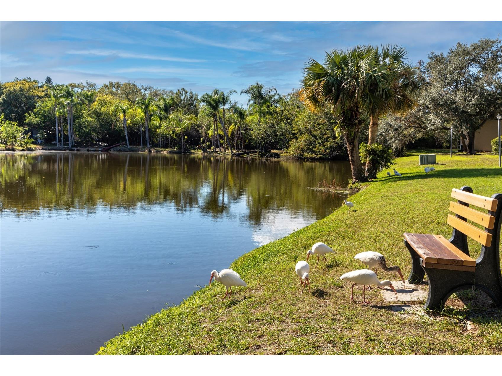 4215 E Bay Drive #1806D Clearwater FL 33764 TB8493082 image29