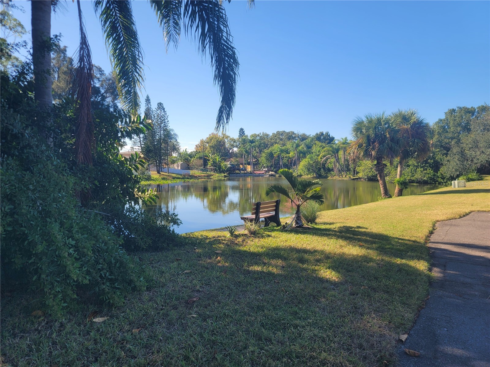 4215 East Bay Drive #1508B Clearwater FL 33764 TB8474659 image25