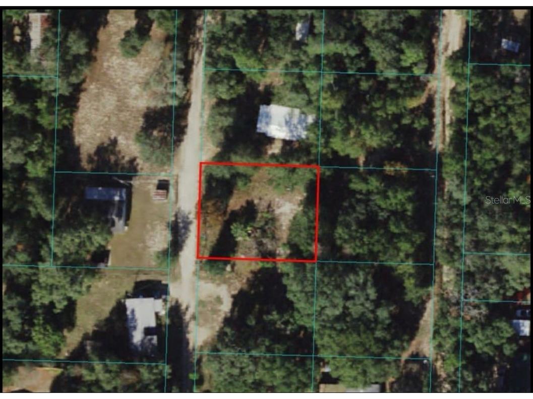 4215 NE 172nd Avenue Silver Springs FL 34488 O6325414 image1