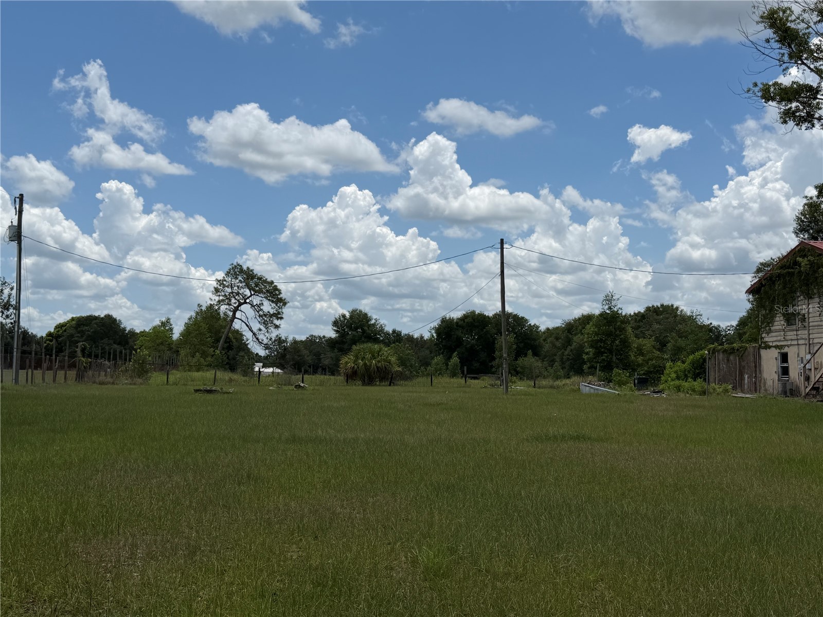 4215 Stearns Road Valrico FL 33596 TB8523881 image2