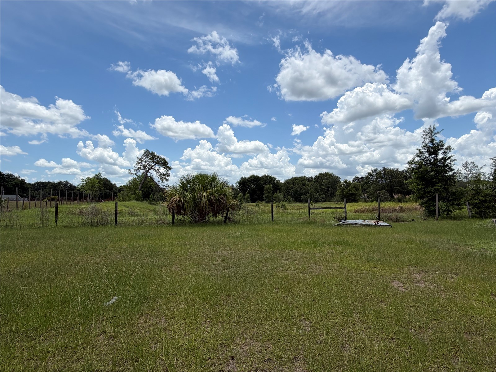 4215 Stearns Road Valrico FL 33596 TB8523881 image3