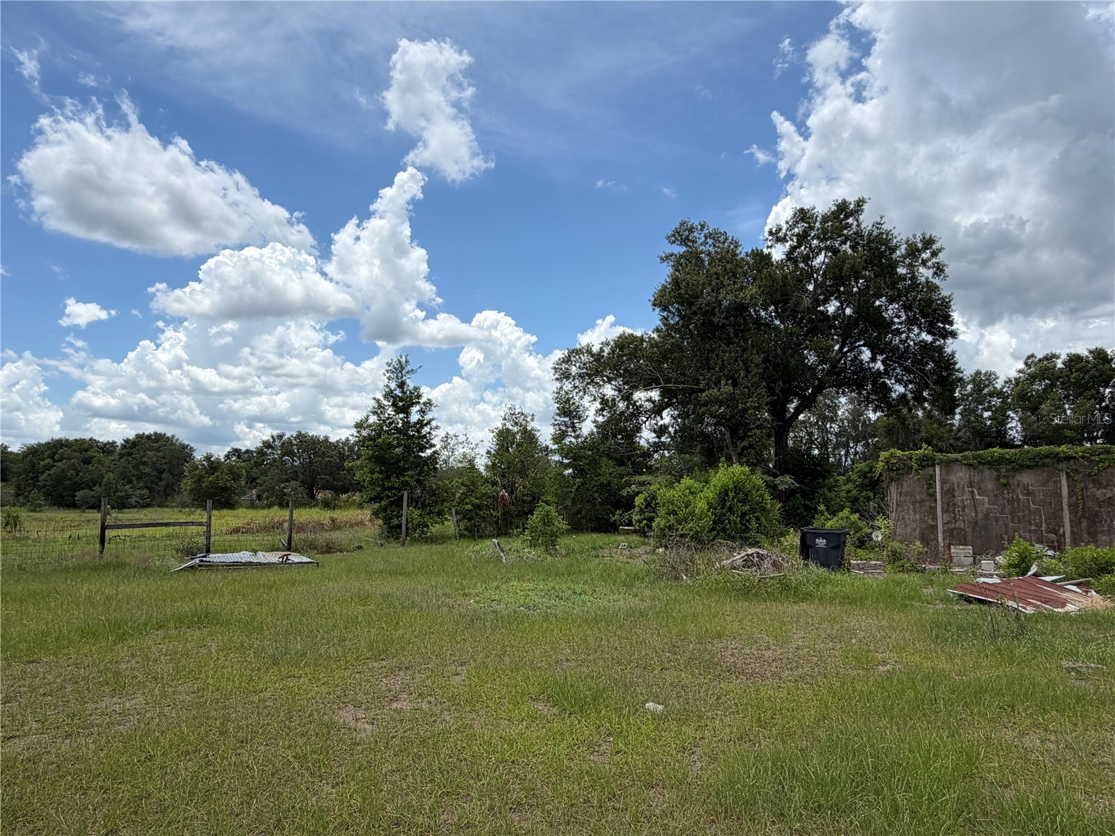 4215 Stearns Road Valrico FL 33596 TB8523881 image4