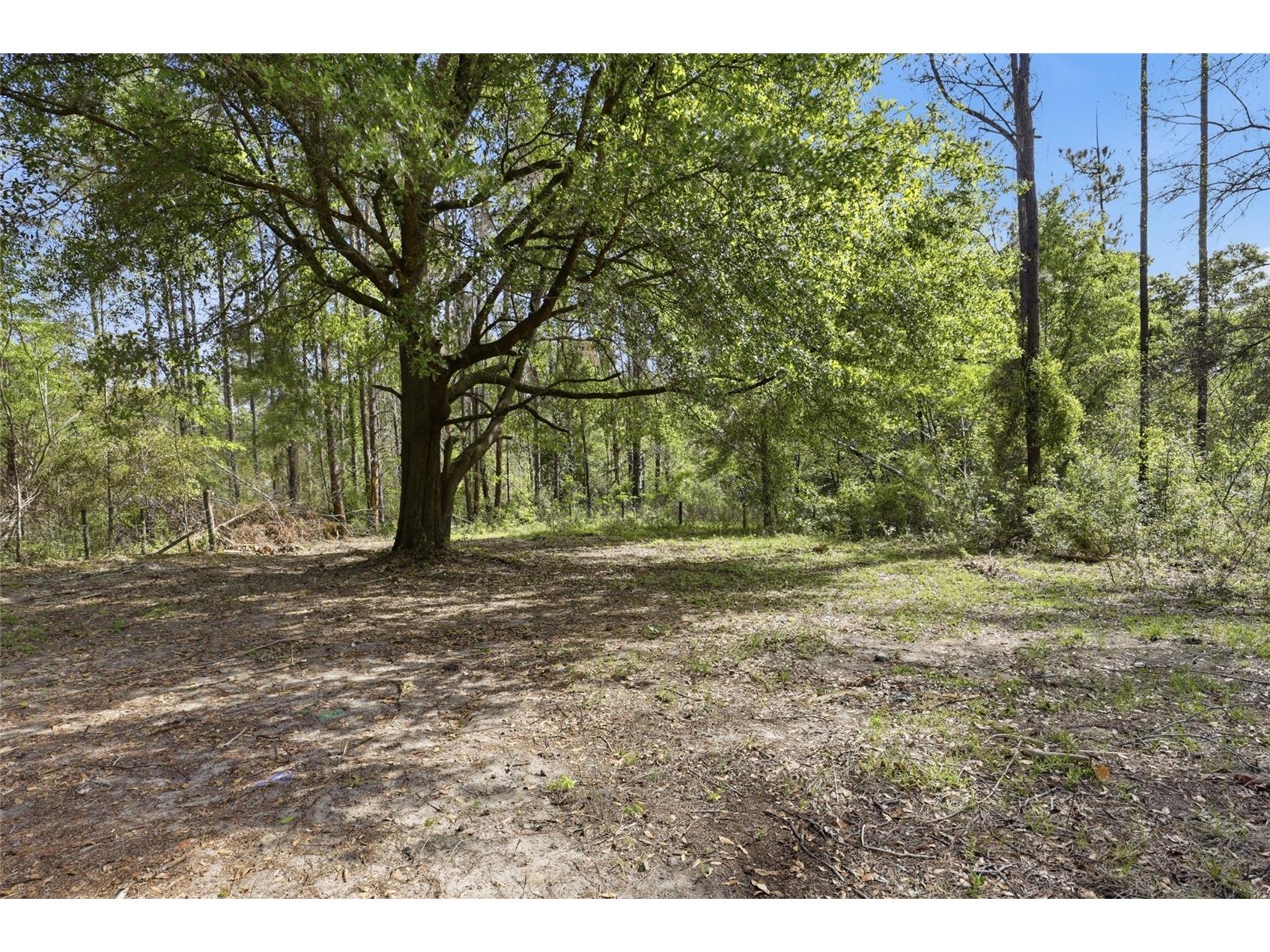 4215 SW 253rd Terrace Newberry FL 32669 GC539209 image27