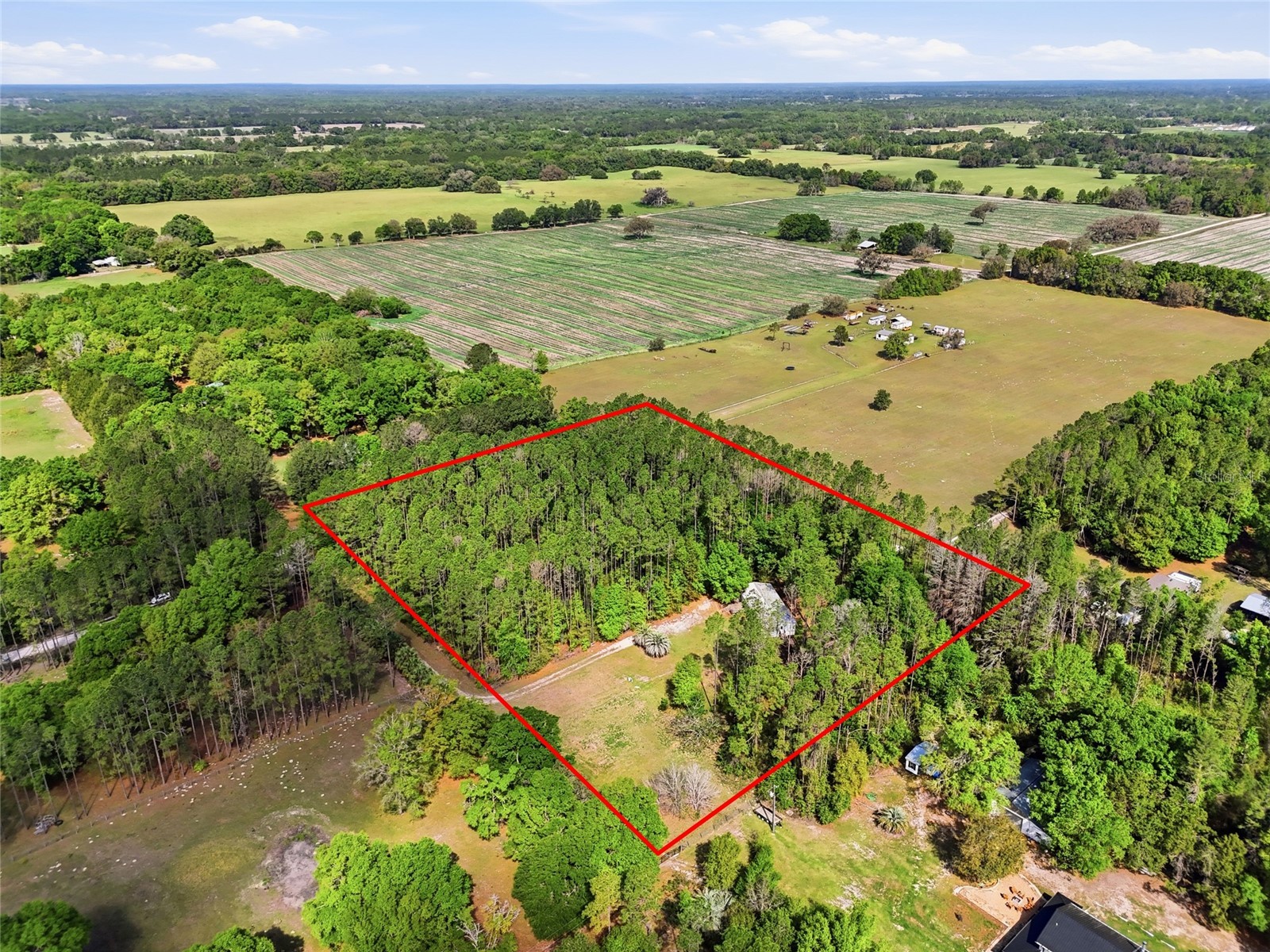 4215 SW 253rd Terrace Newberry FL 32669 GC539209 image29