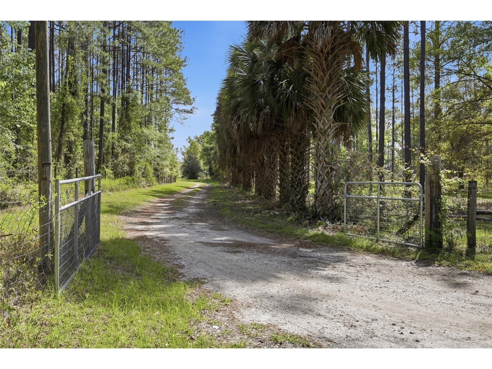 4215 SW 253rd Terrace Newberry FL 32669 GC539209 image5