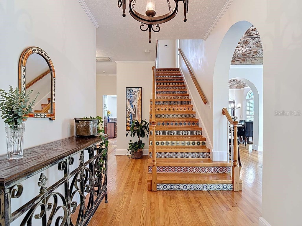 4215 W Culbreath Avenue Tampa FL 33609 TB8418760 image4