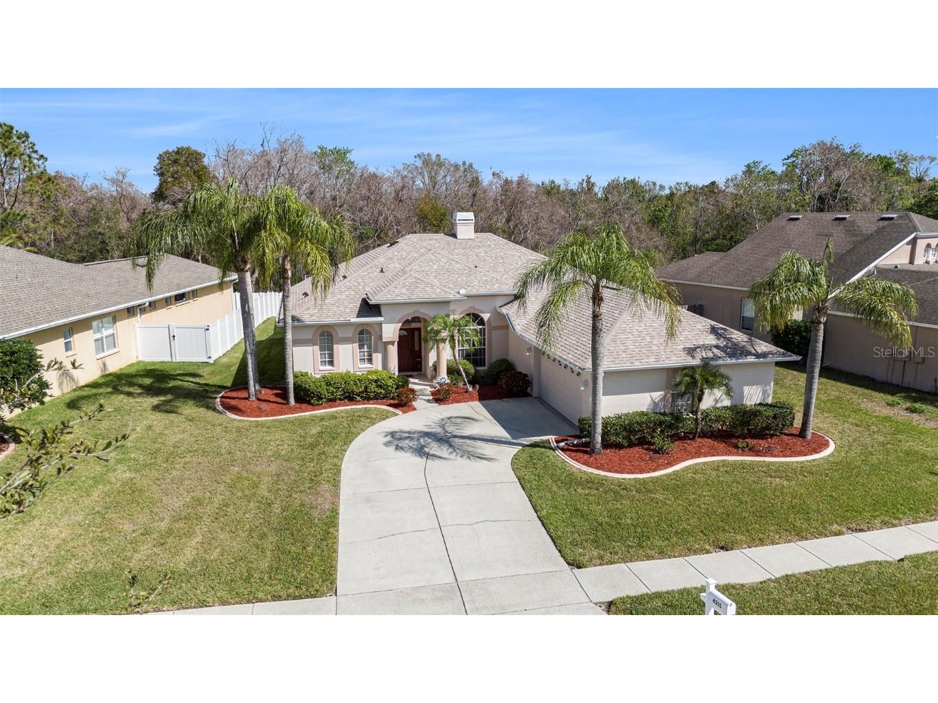 4215 Whittner Drive Land O Lakes FL 34639 TB8353123 image1