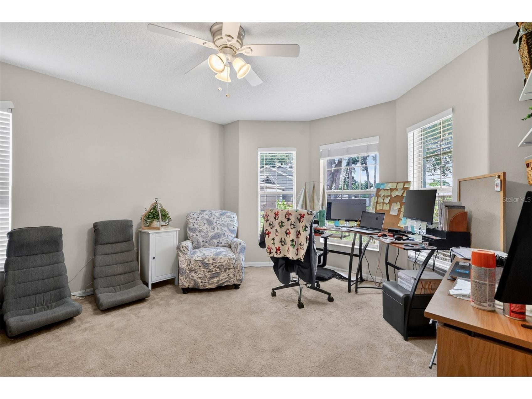 4215 Williams Street Fruitland Park FL 34731 G5113098 image21